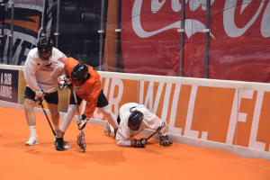new england black wolves national lacrosse league nll