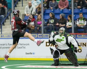 Saskatchewan Rush vs Colorado Mammoth NLL Week 5 2016 Photo Credit: Josh Schaefer / Saskatchewan Rush