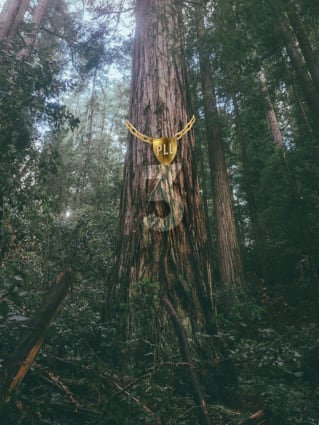 The Fix is a series focusing on how to solve the problems of the PLL's bottom four teams this offseason. Next up: Redwoods LC.
