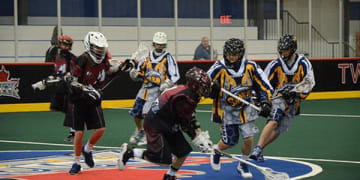 Colorado Jr. Mammoth