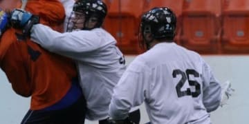joel mccready nll box lacrosse joel mccready nll box lacrosse