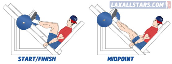 Leg Press Leg Press