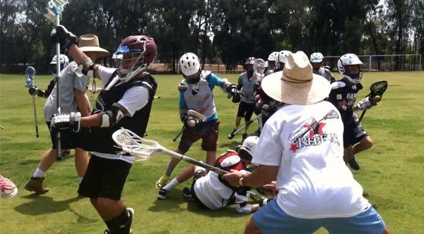 sharks and minnows
