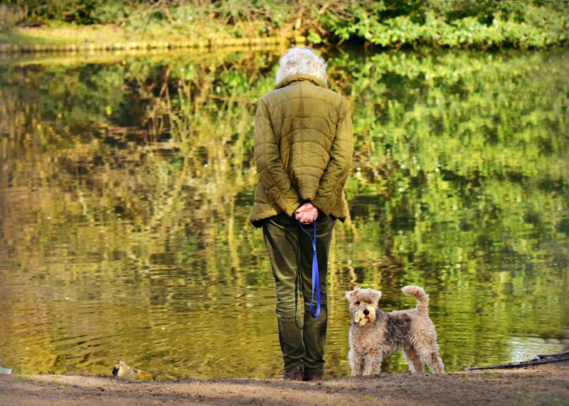 Toronto dog parks, dog parks in Toronto, dog-friendly neighbourhoods in Toronto, where to walk your dog in Toronto, Toronto, parks in Toronto, dog-friendly parks, Sherwood Park, off leash parks in Toronto