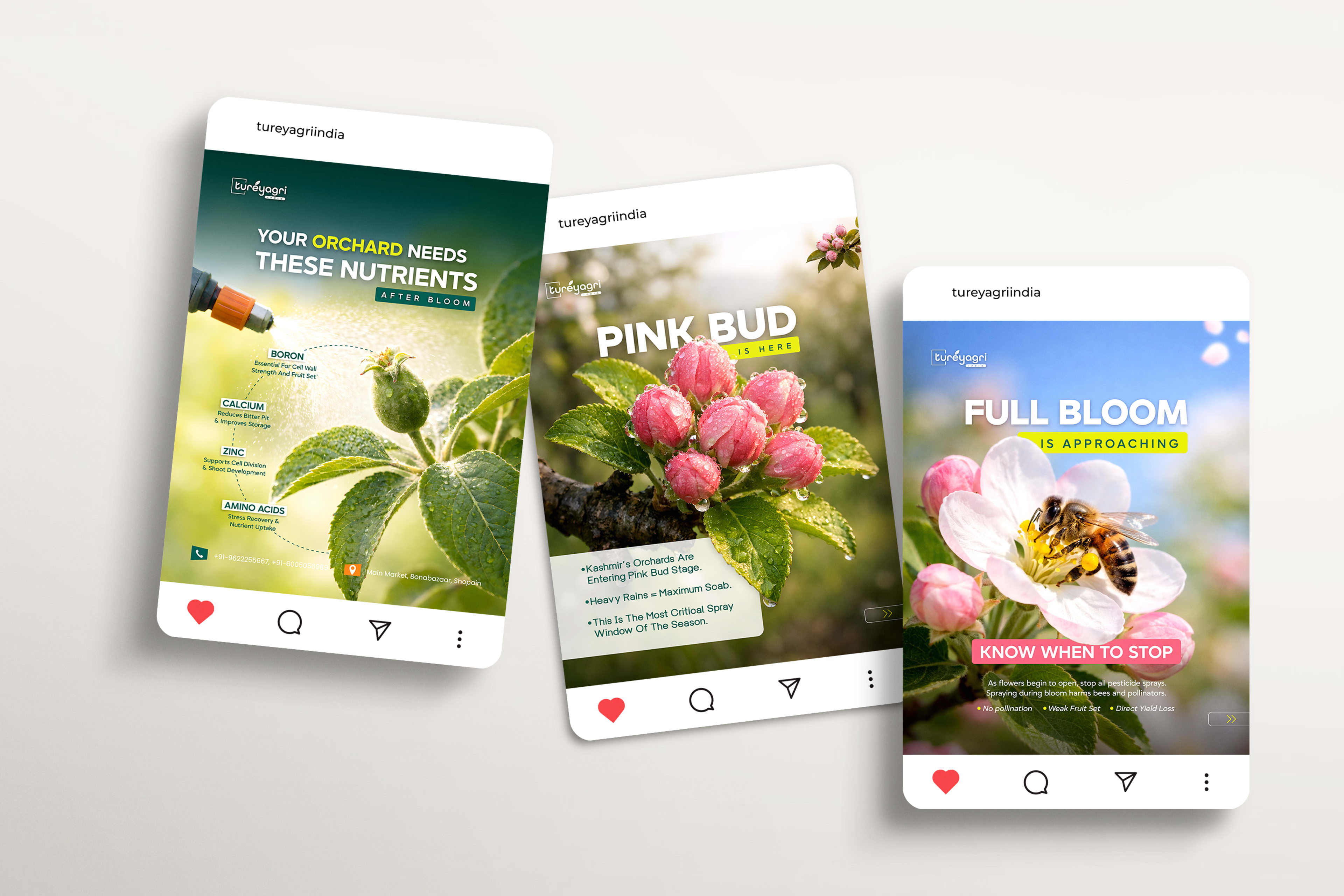 Turey Agri Creatives