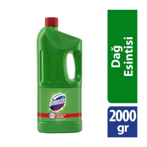 Domestos Dağ Esintisi 2000 ml