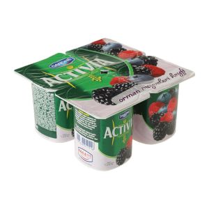 Danone Activia Orman Meyveli Yoğurt 4X100  gr