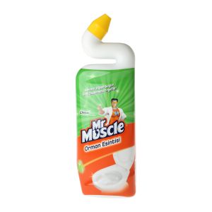 Mr.Muscle Likit Orman Esintisi 750 ml