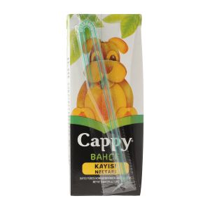 Cappy Meyve Suyu Kayısı 200 ml