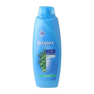 Blendax Bitki Özlü Şampuan 550 ml