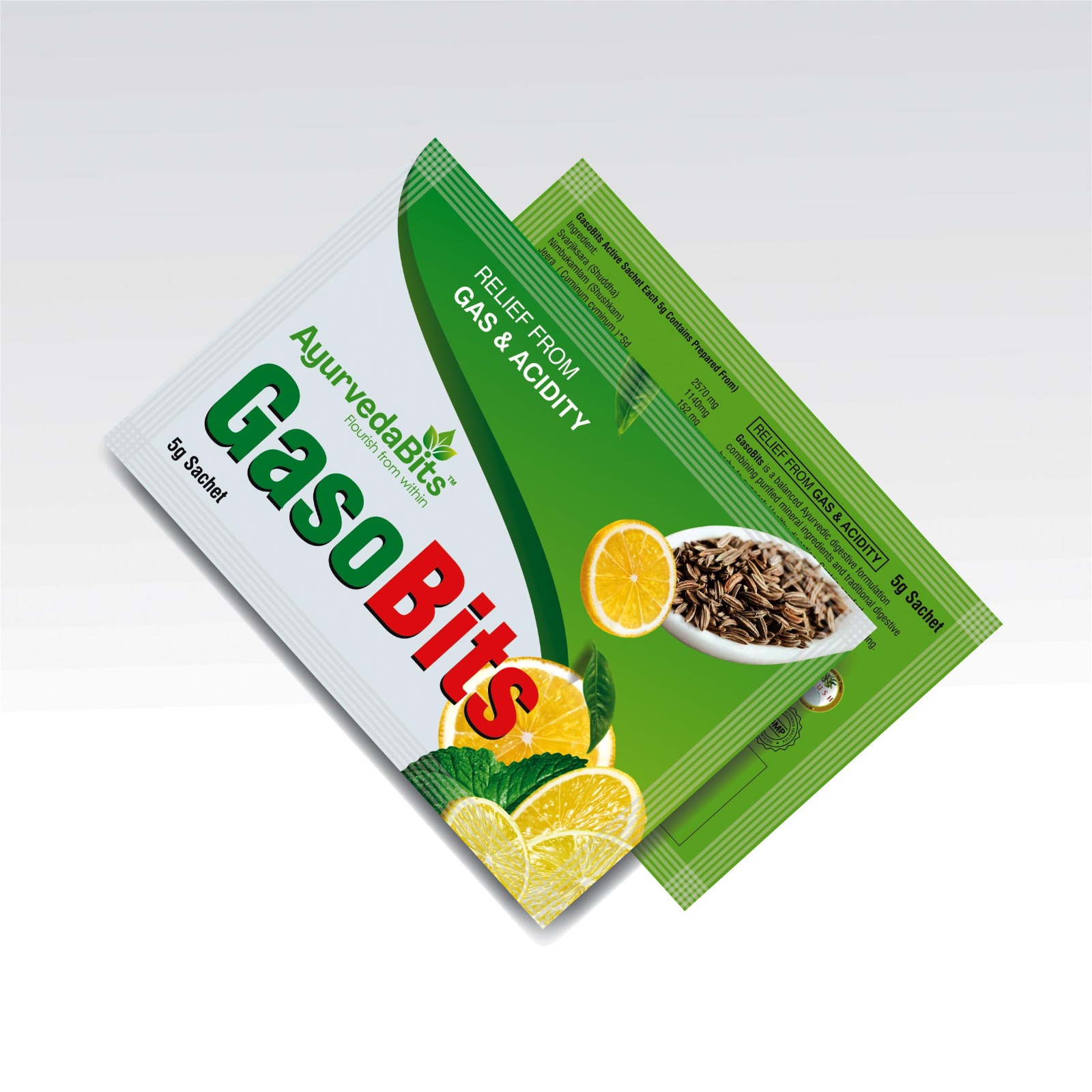 GasoBits