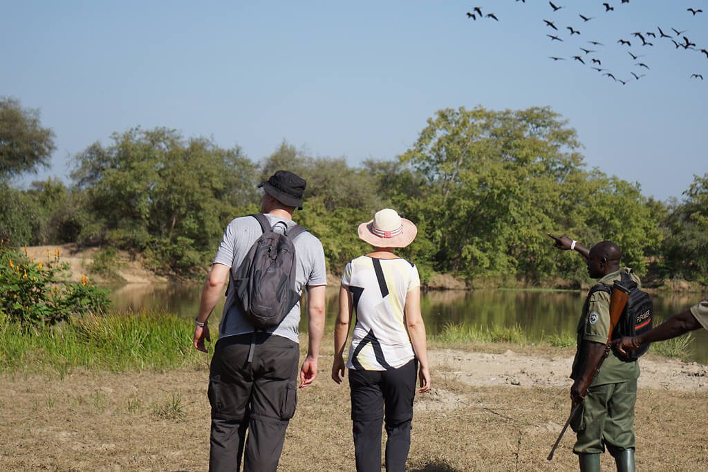 Wildlife experience capturing the thrill of exploring nature.