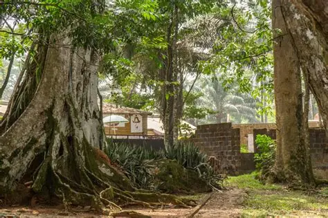 Refreshing natural scenery ideal for short adventures and quick getaways.