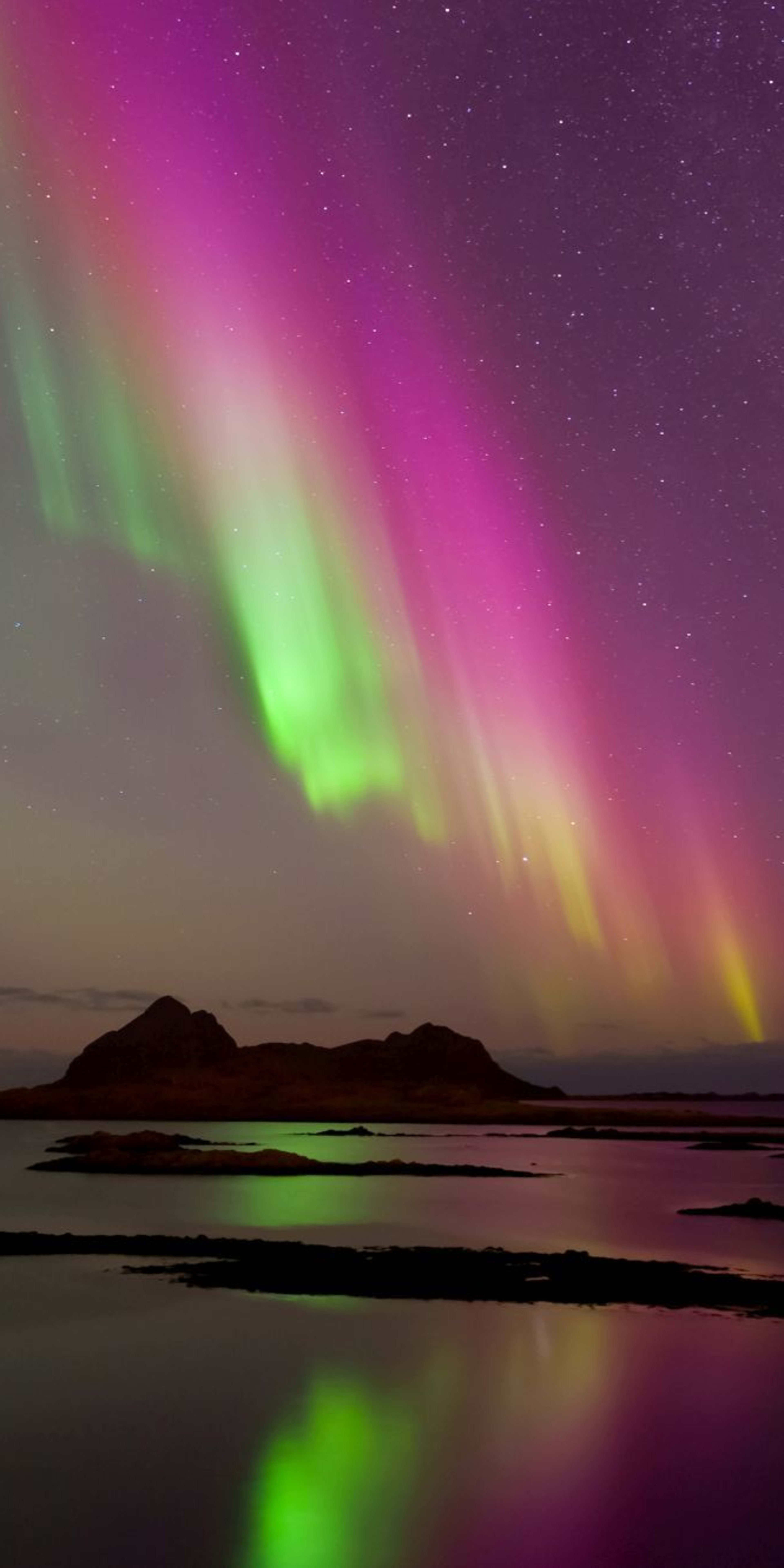 The dancing northern lights in the sky brings a colorful backdrop on the cruise in Tromsø