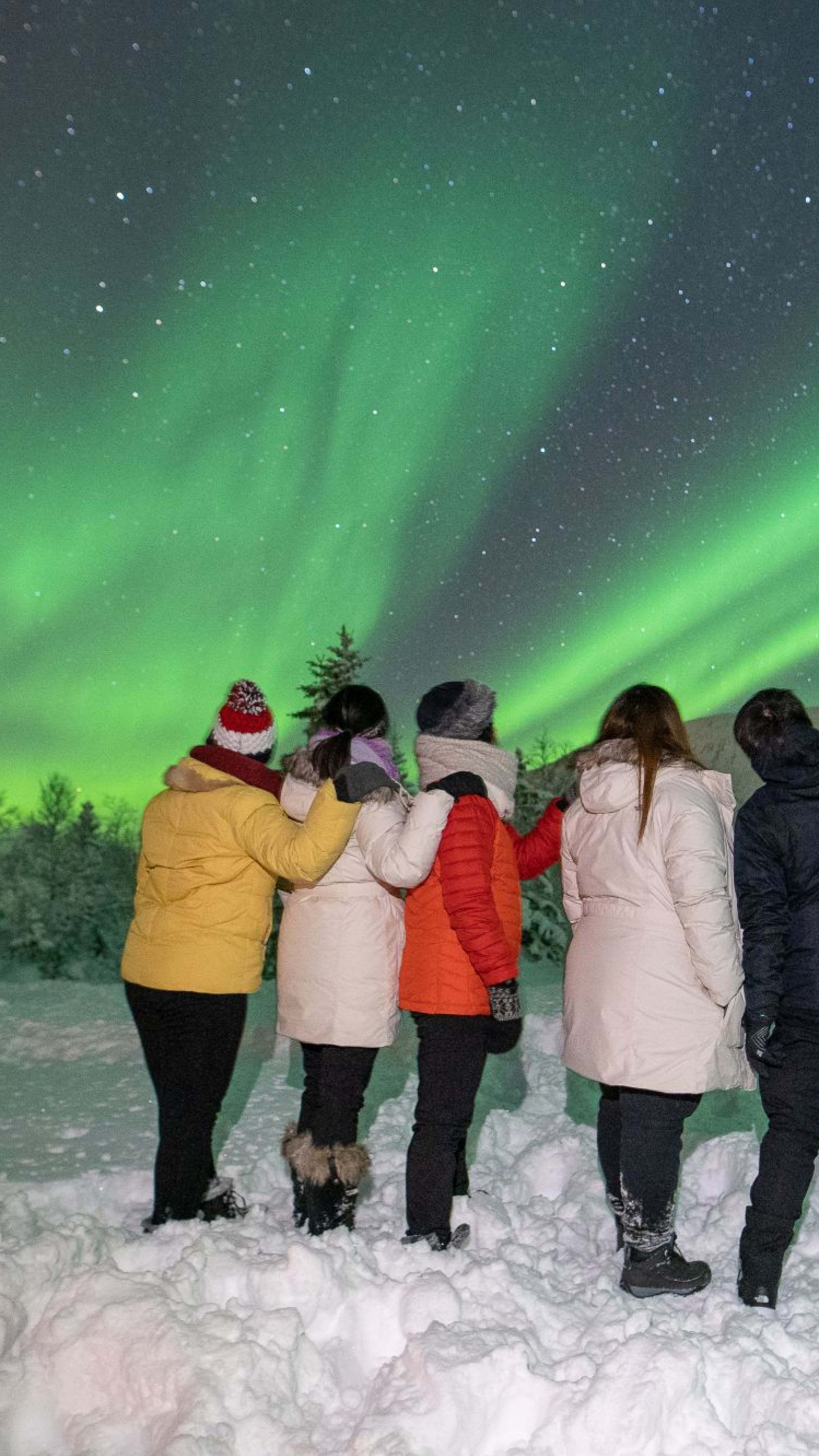 Gruppe von fünf Freunden in Winterjacken, die unter grünen Nordlichtern stehen und einen Moment des Staunens teilen.