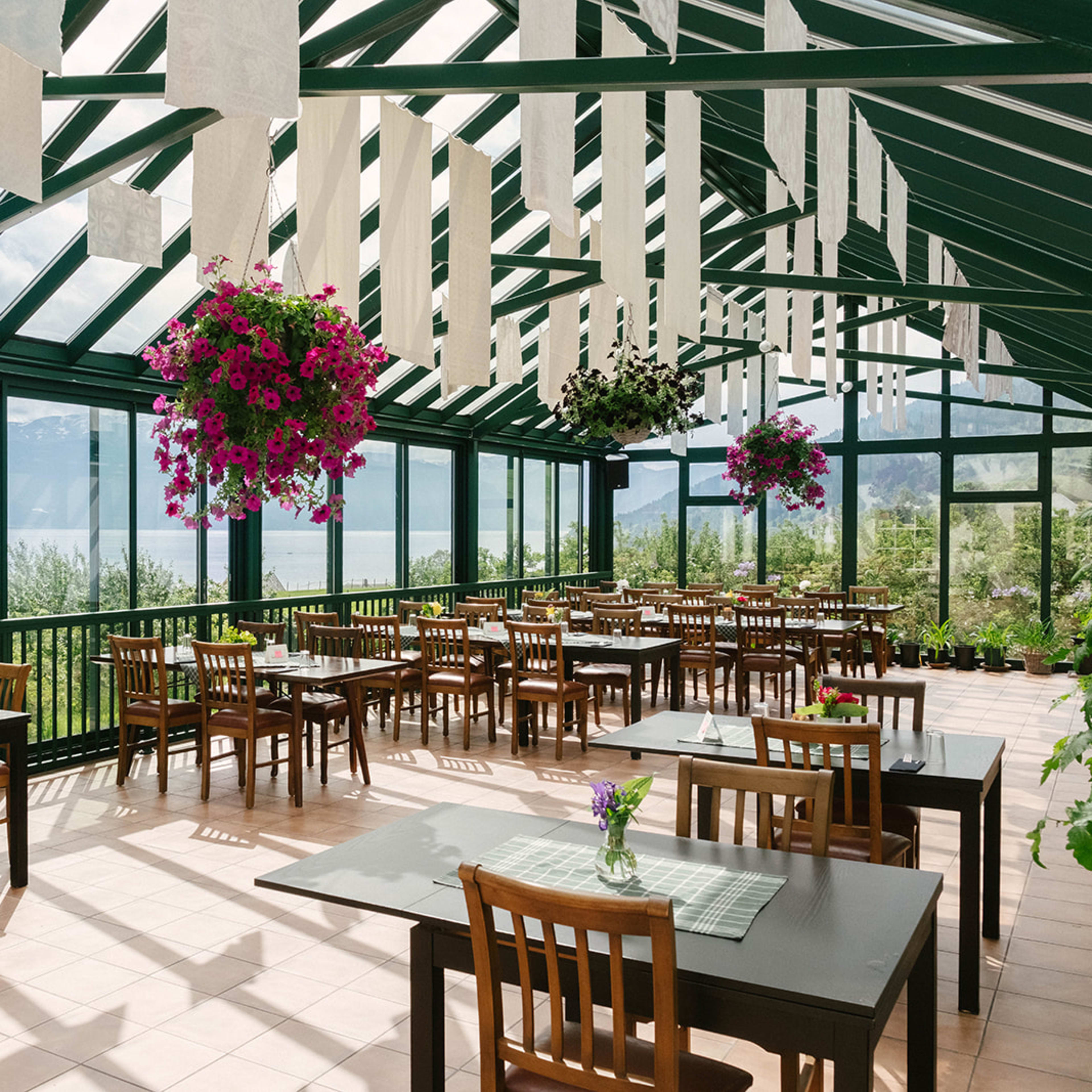 Ciderhuset restaurant Balestrand med utsikt over Sognefjorden, frukttrær og fjell