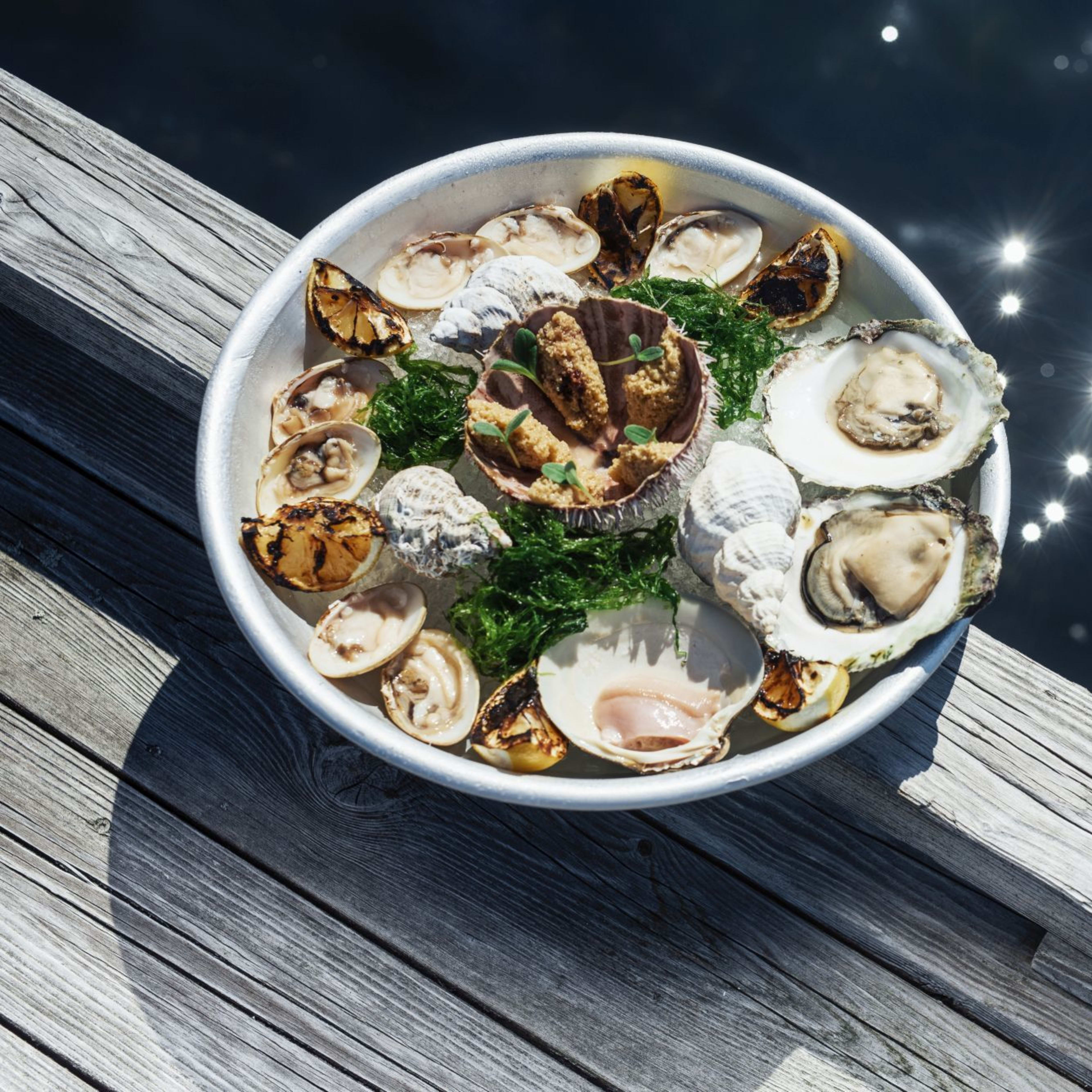Seafood platter on wooden pier over sparkling water, featuring oysters, sea urchin with crispy toppings, and lemon.