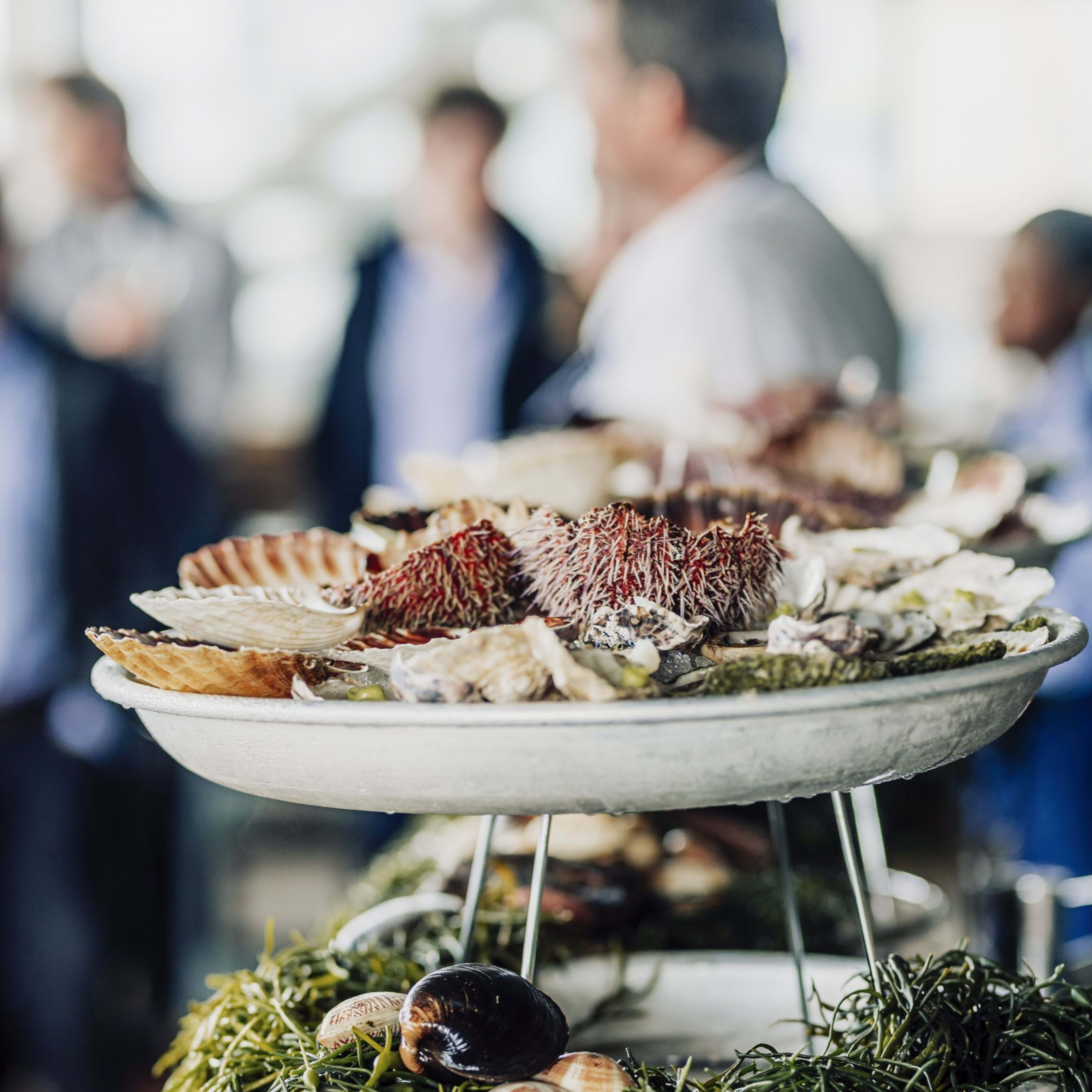 Tiered display of fresh seafood elegantly arranged on ice, featuring scallops, oysters, clams, and red sea urchins.