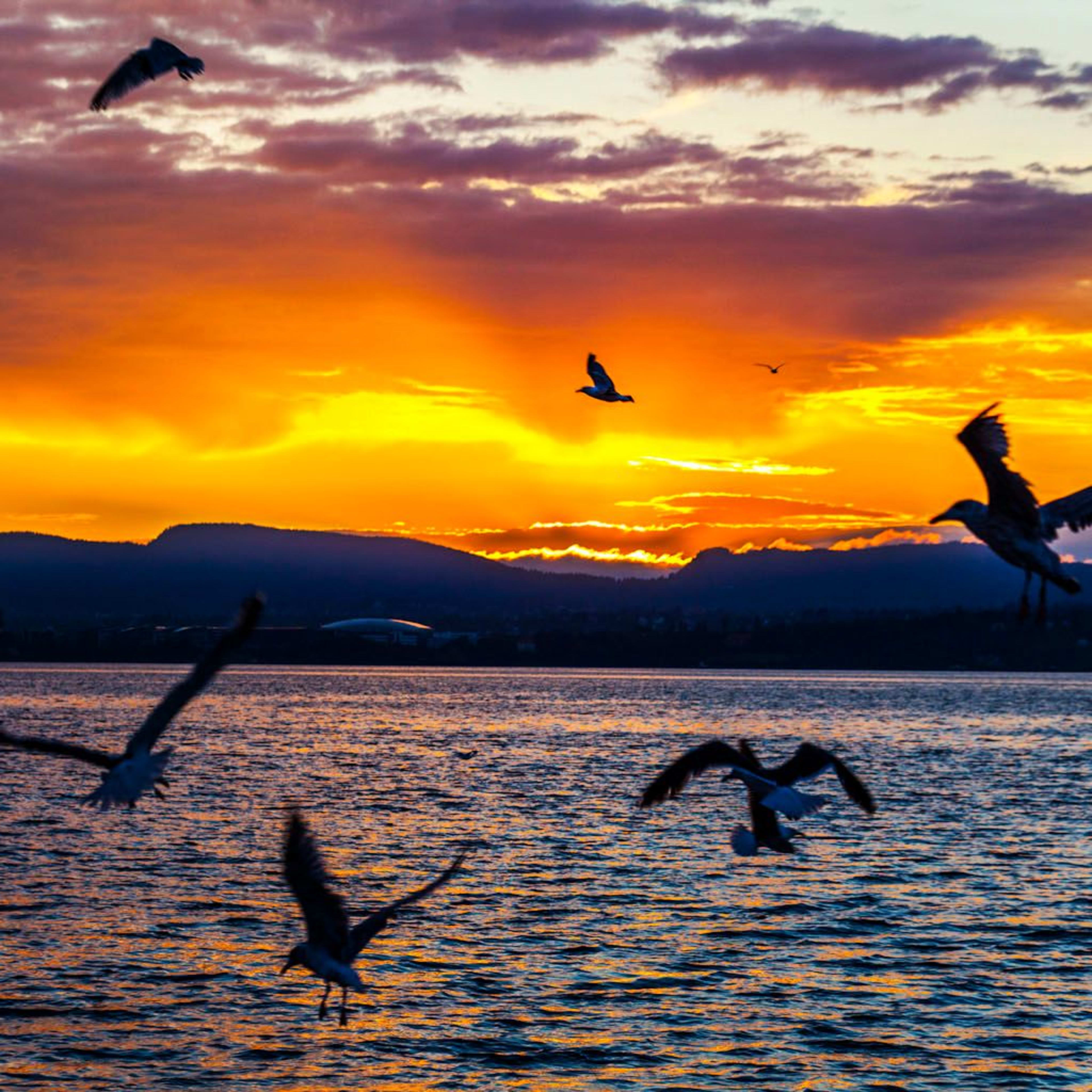 Vibrant sunset with orange and purple sky, birds flying over water, and silhouetted mountains in the distance.