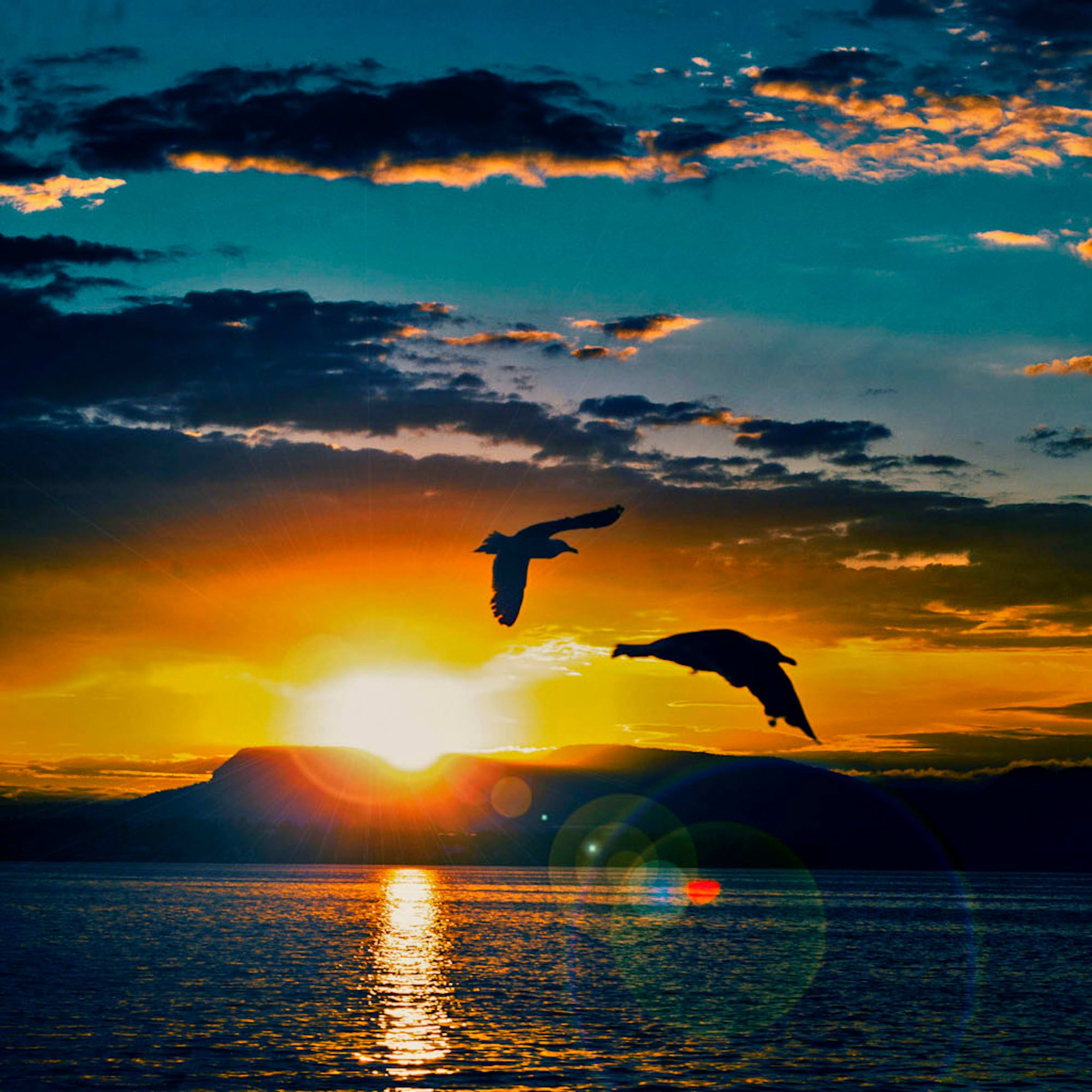 Stunning sunset over a calm sea, with birds flying and golden sunlight reflecting off the water’s surface.