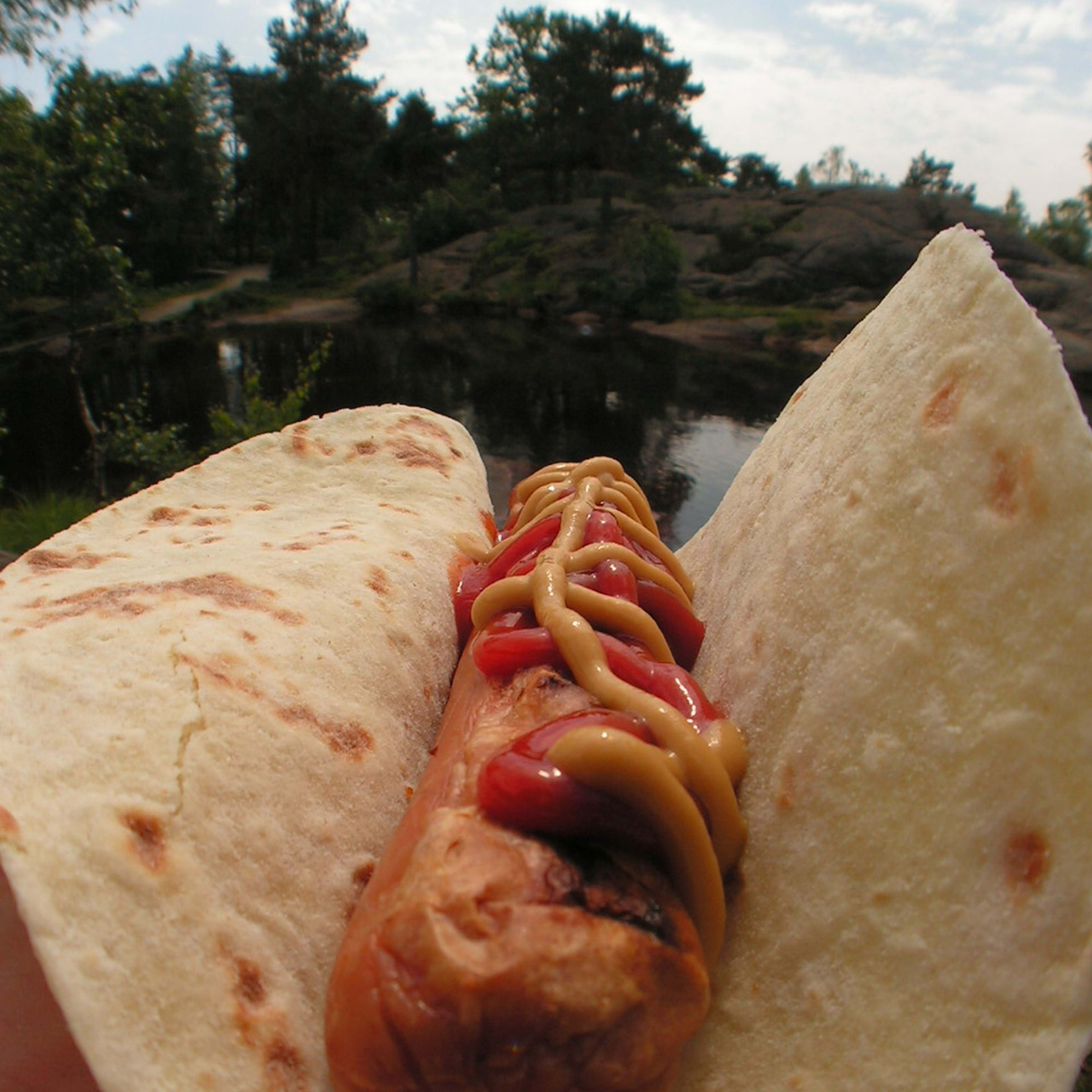 Hotdog in Fladenbrot mit Ketchup und Senf, vor schöner Außenszene mit See und Bäumen.