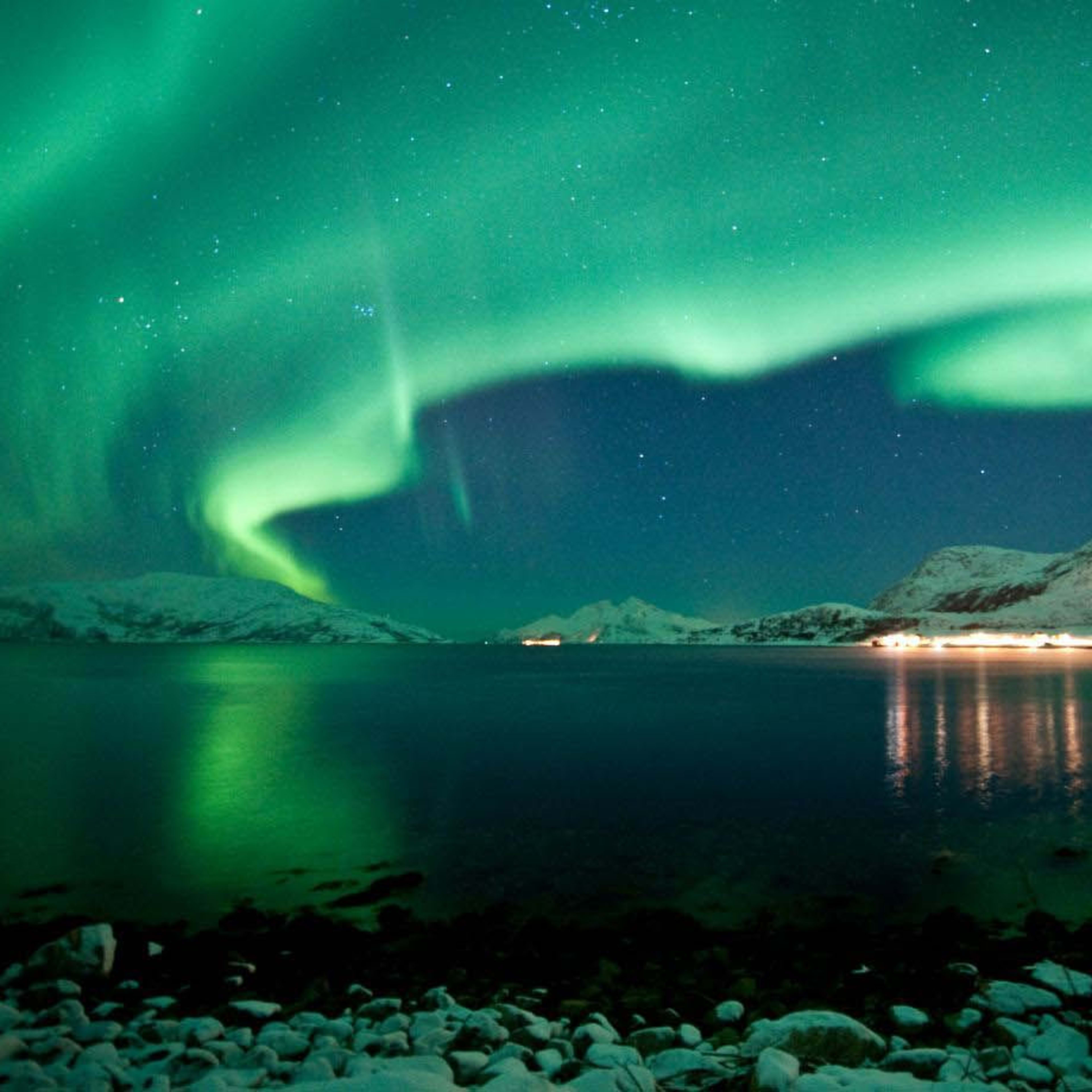 Nordlys i livlige grønne nyanser som svirrer over mørk fjord med snødekte fjell, landsbylys reflektert på vannet.