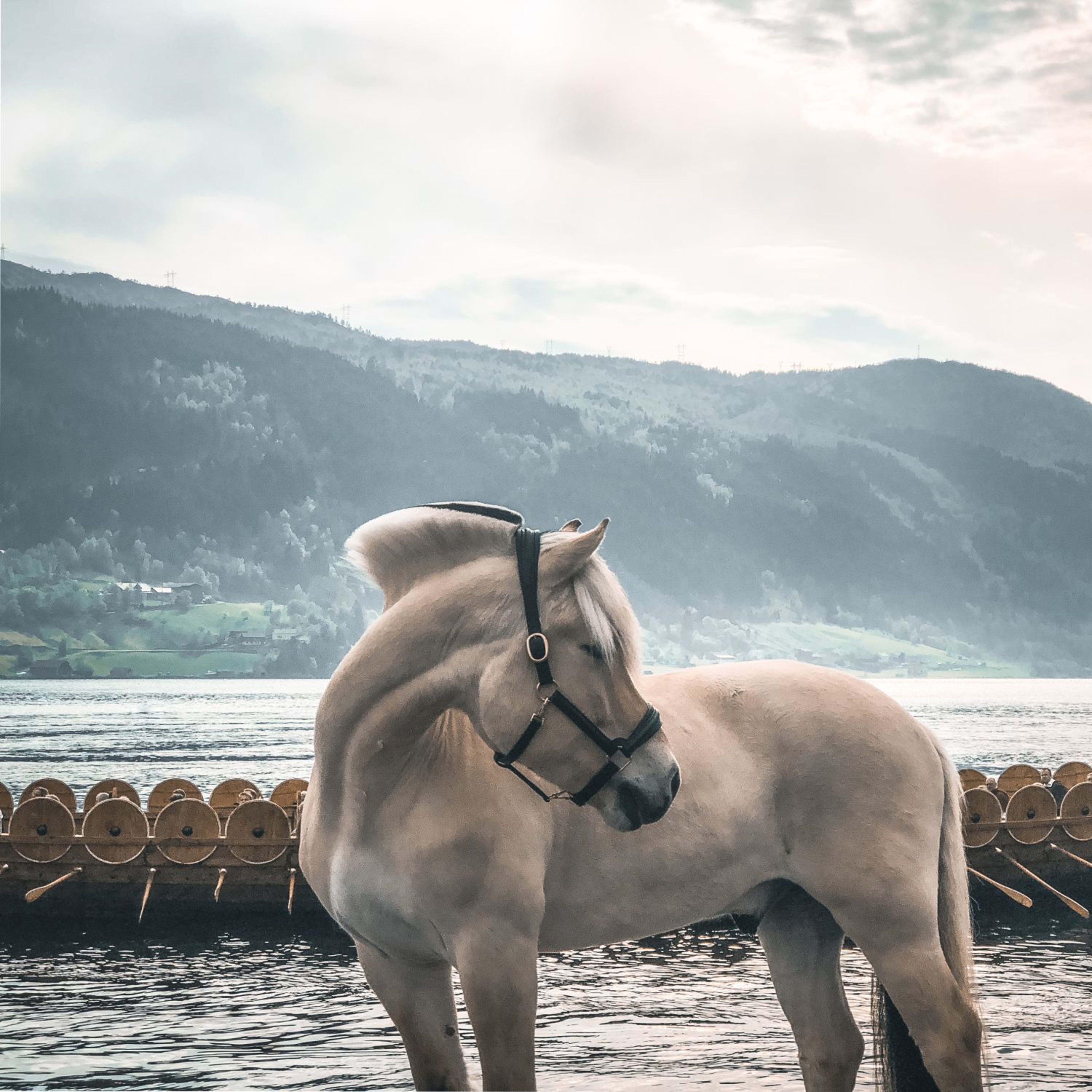 Hellfarbenes Pferd steht am Wasser, Vikingerschiff mit Drachenverzierungen auf ruhigem Wasser, neblige Hügel und grüne Landschaften im Hintergrund.