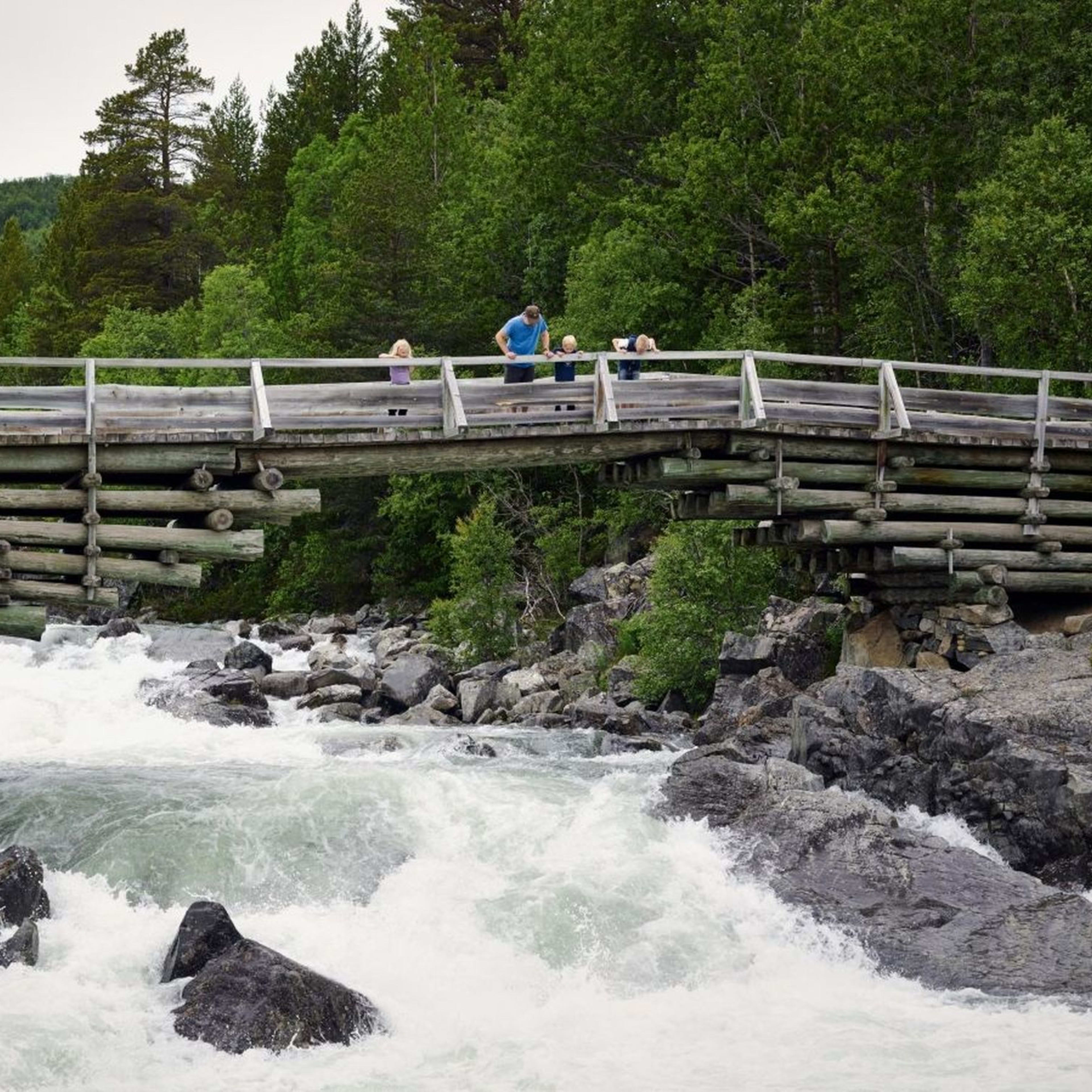 Man and kids on rustic bridge watch rushing river below in forest setting.