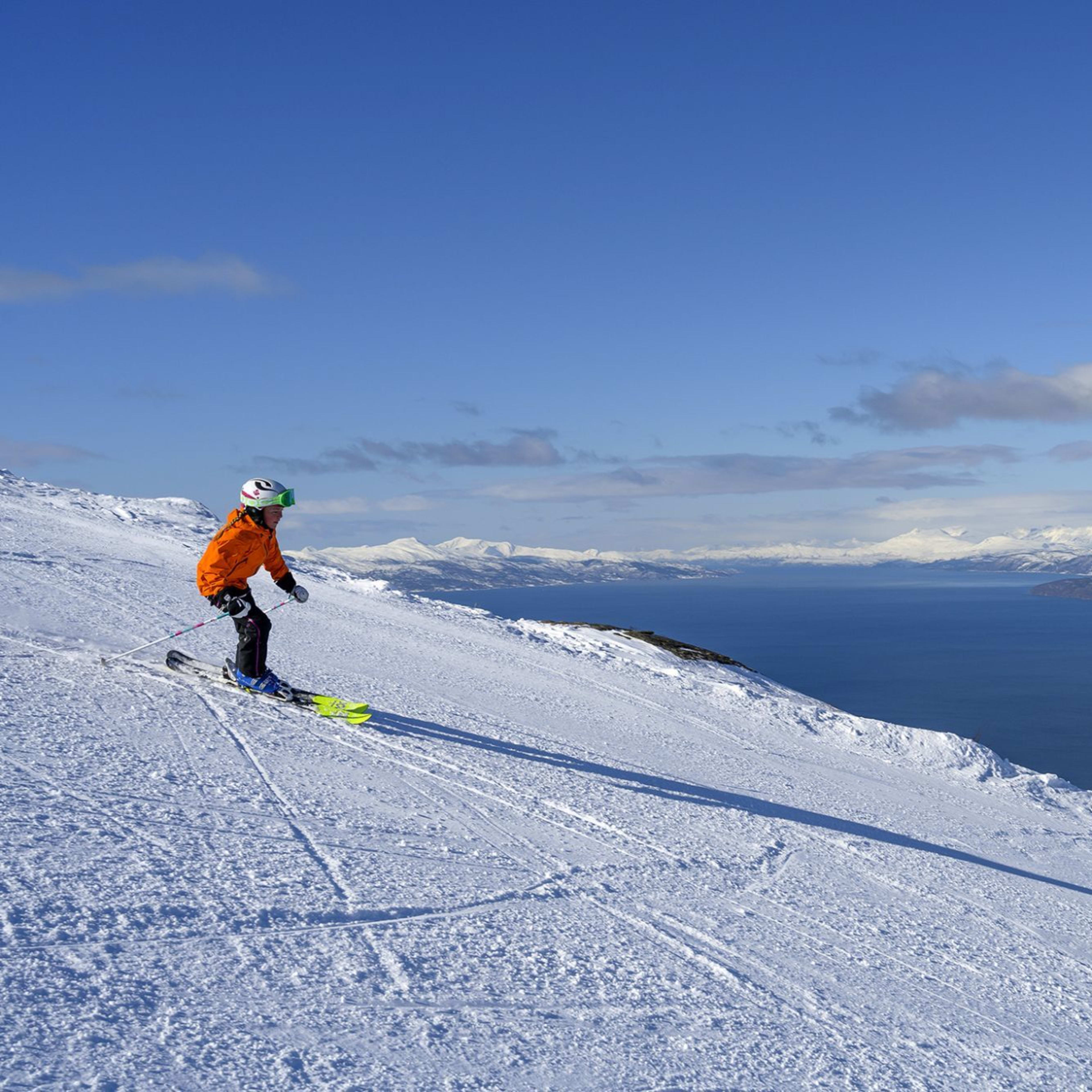 Skier in orange and black gear skiing down snowy slope under blue sky, with fjord, mountains, and cargo ship in the distance.