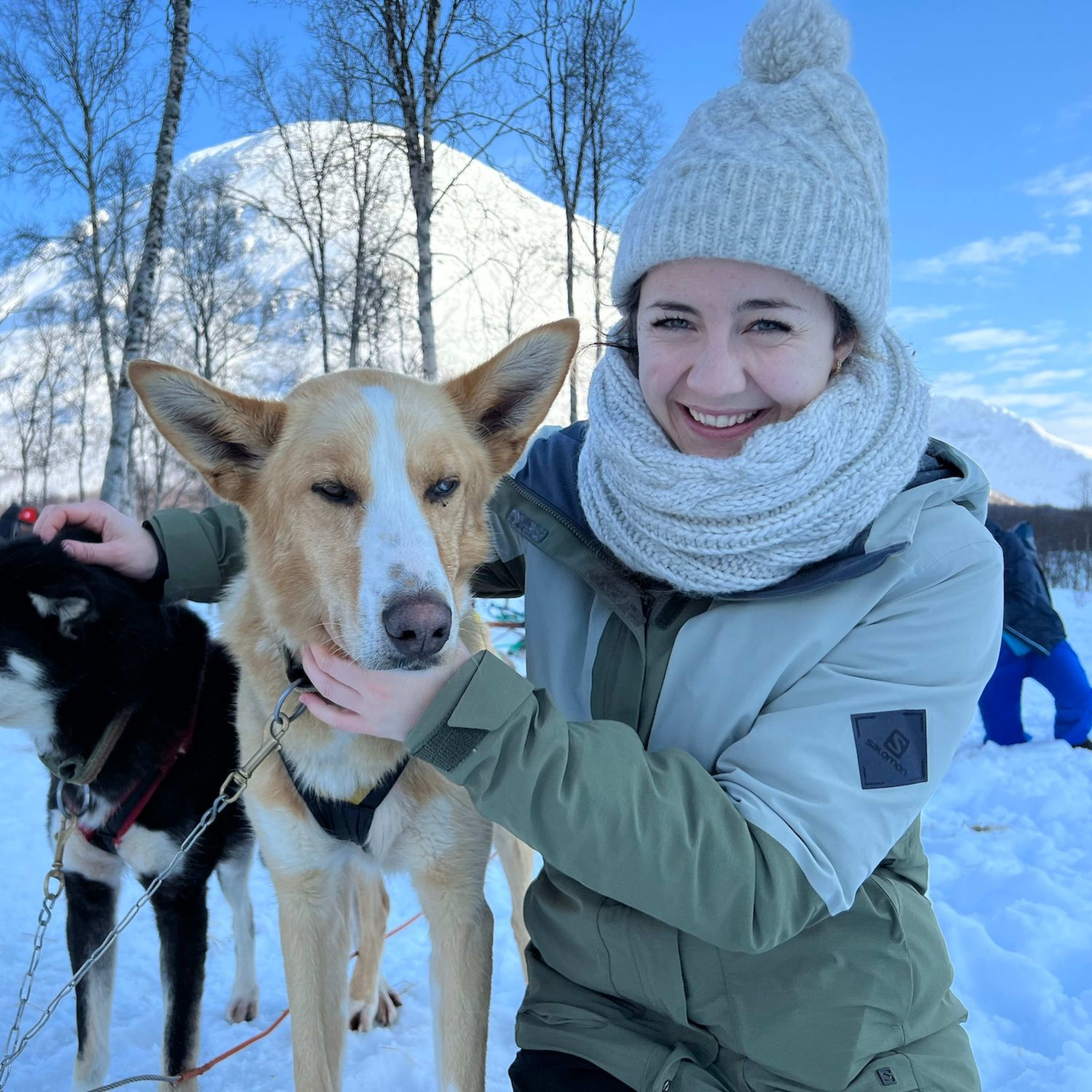 Dog sledding team prepared for guided winter tour in Tromsø Norway with mountain backdrop and fresh snow