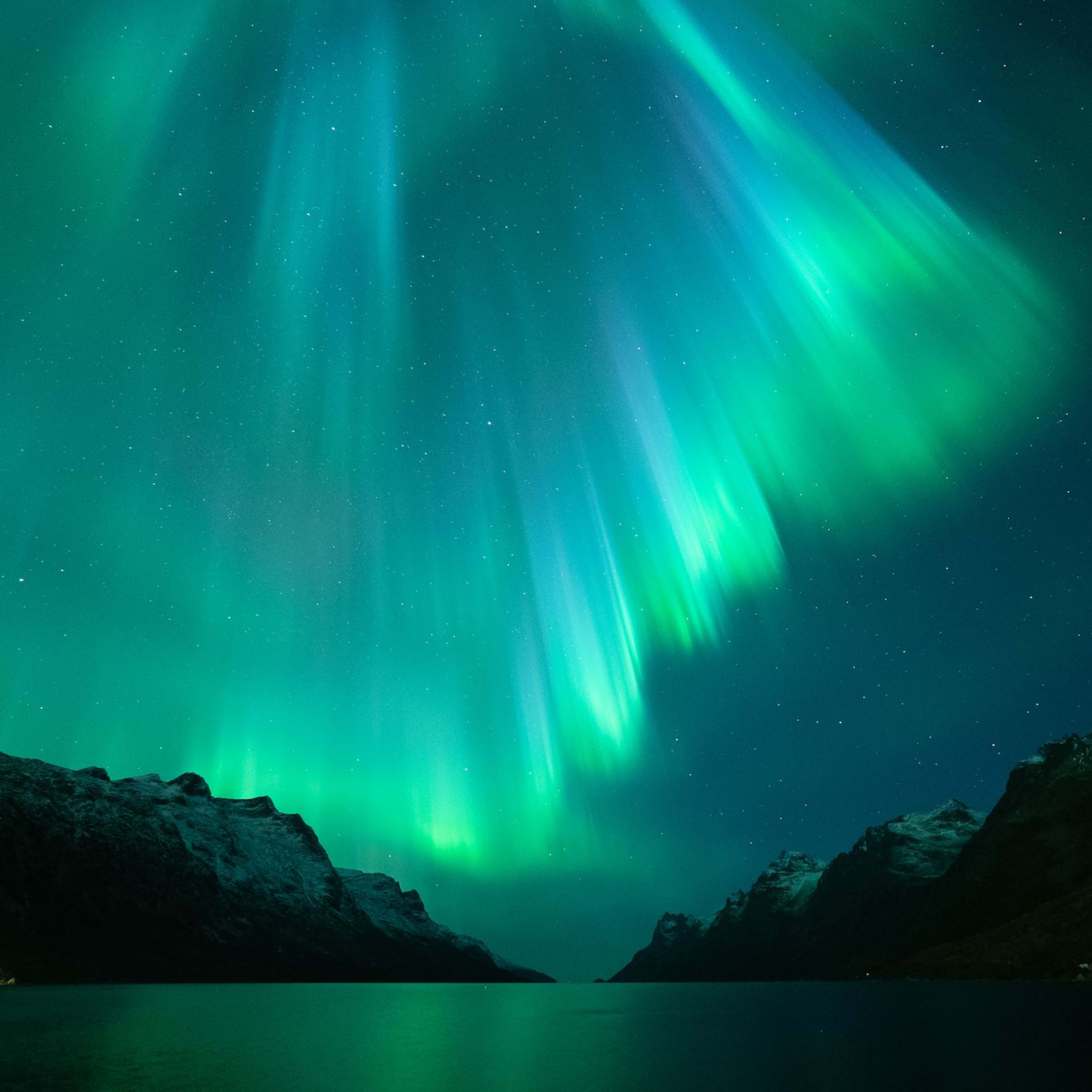 Nordlyset danser over en fjord og speiler seg i det rolige vannet.