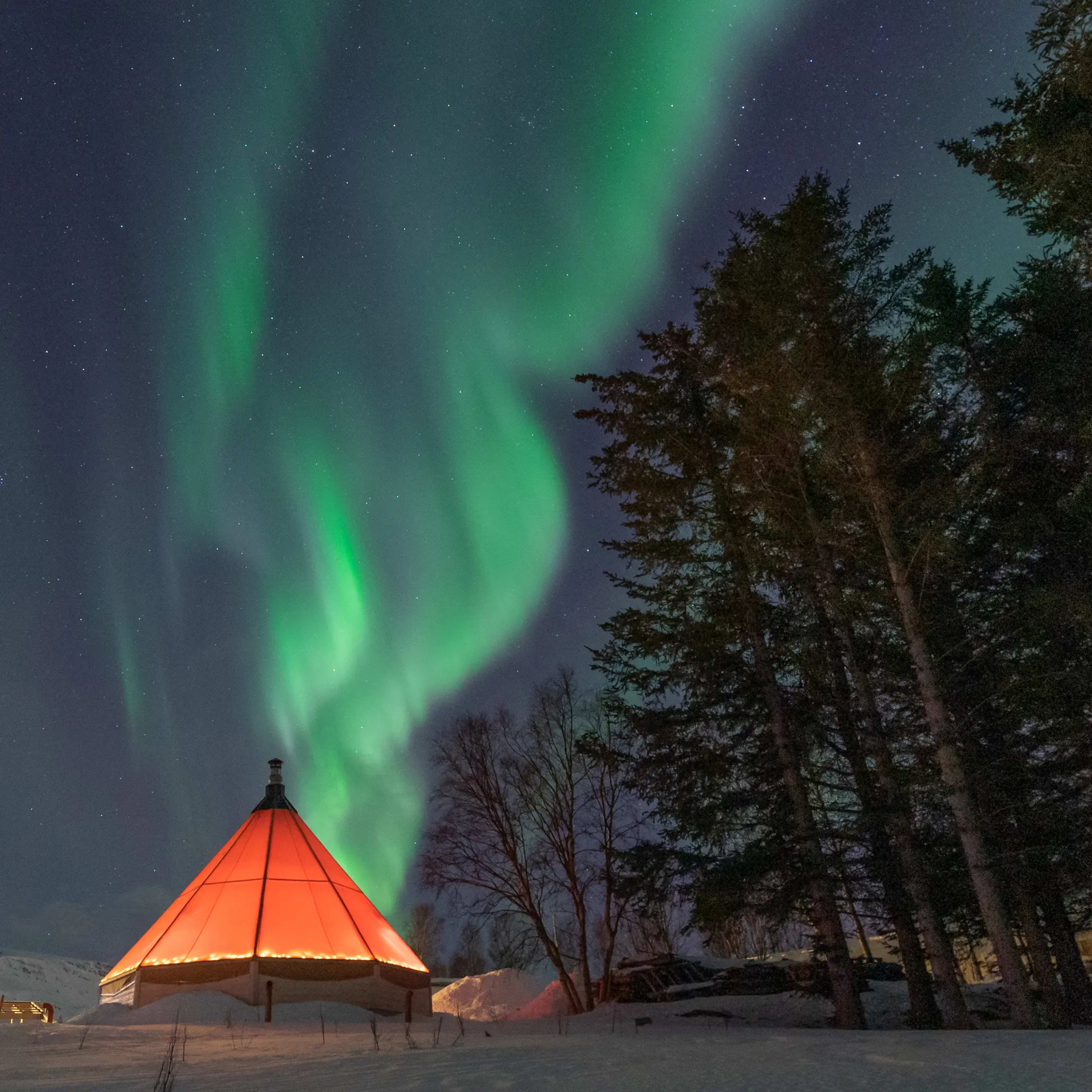 Lysende samisk telt med dramatiske grønne nordlys over