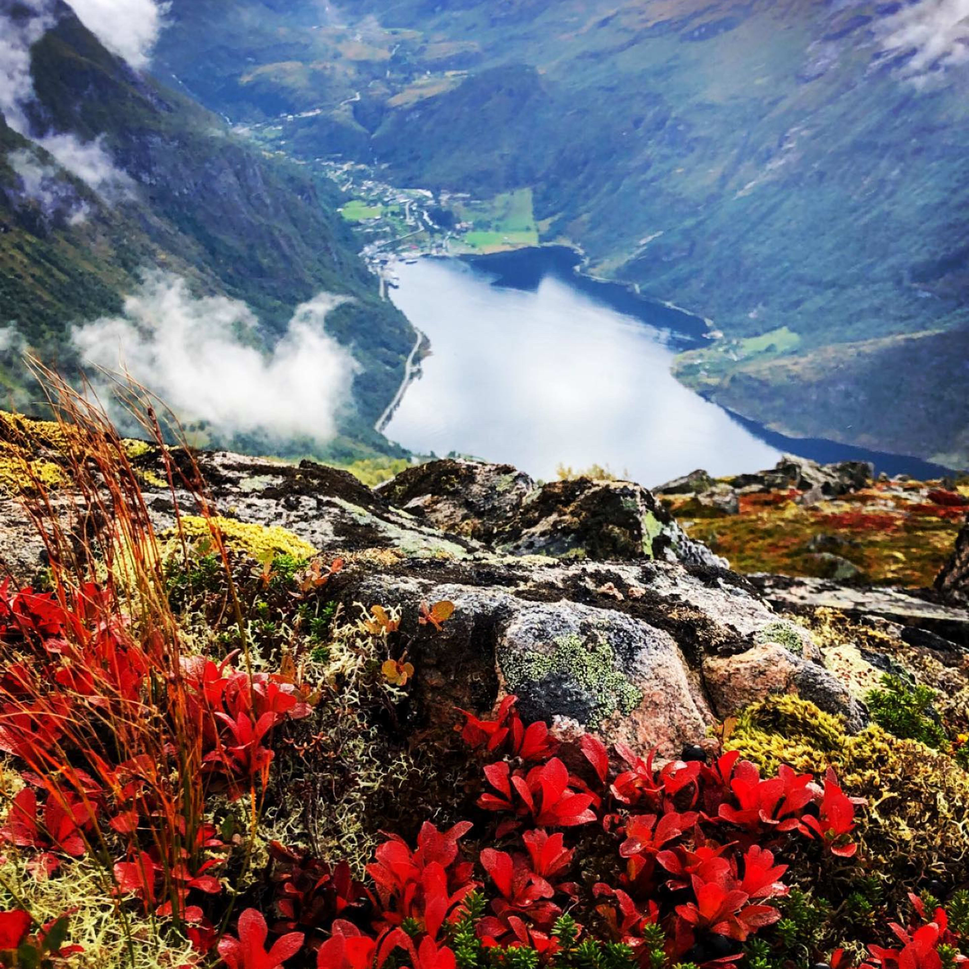 Utsikt over Geirangerfjorden fra fjellet med gylne høstfarger og delvis skyet himmel i UNESCO-vernede Geiranger
