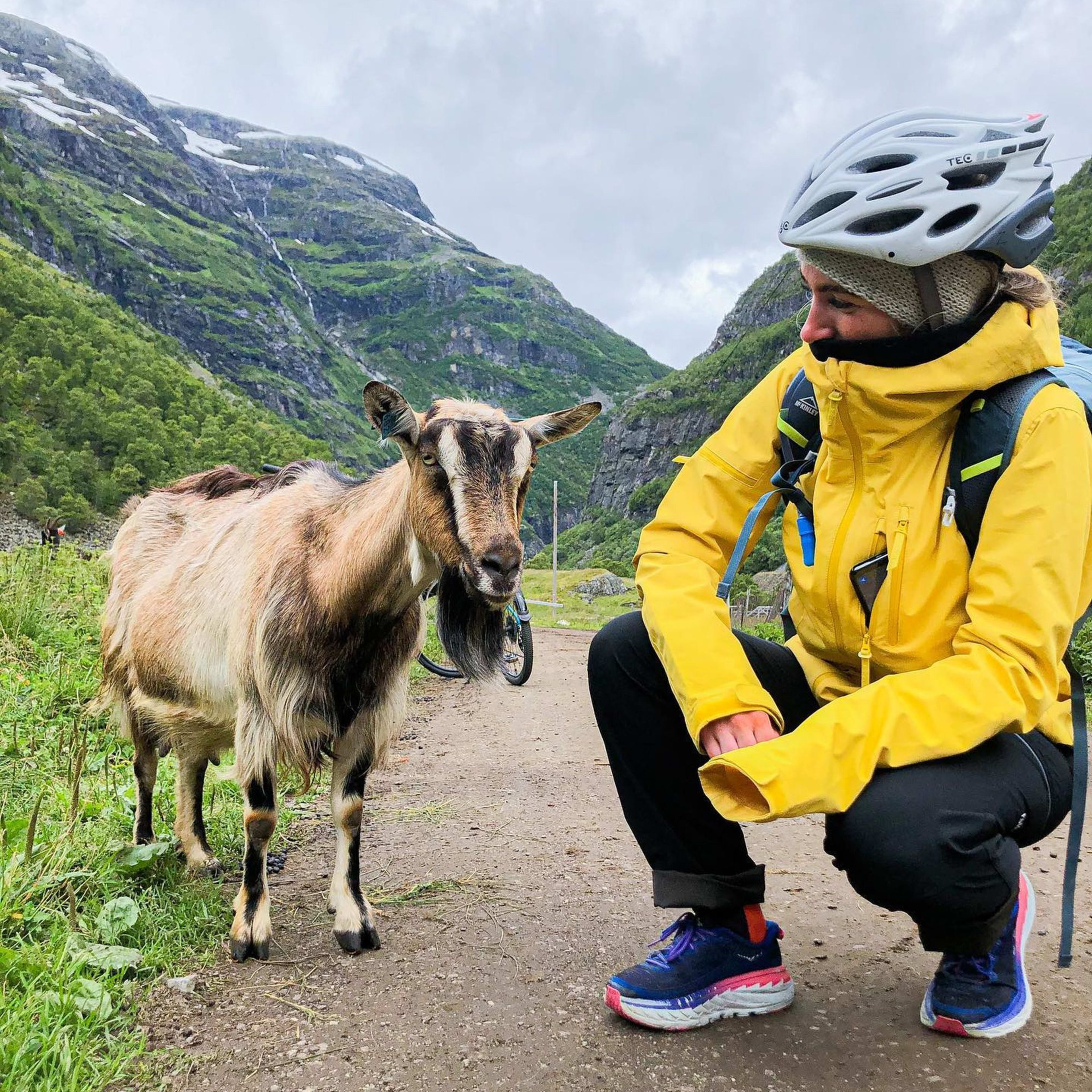 Kvinne kneler ved geit i fjellsti med grønne åser rundt.