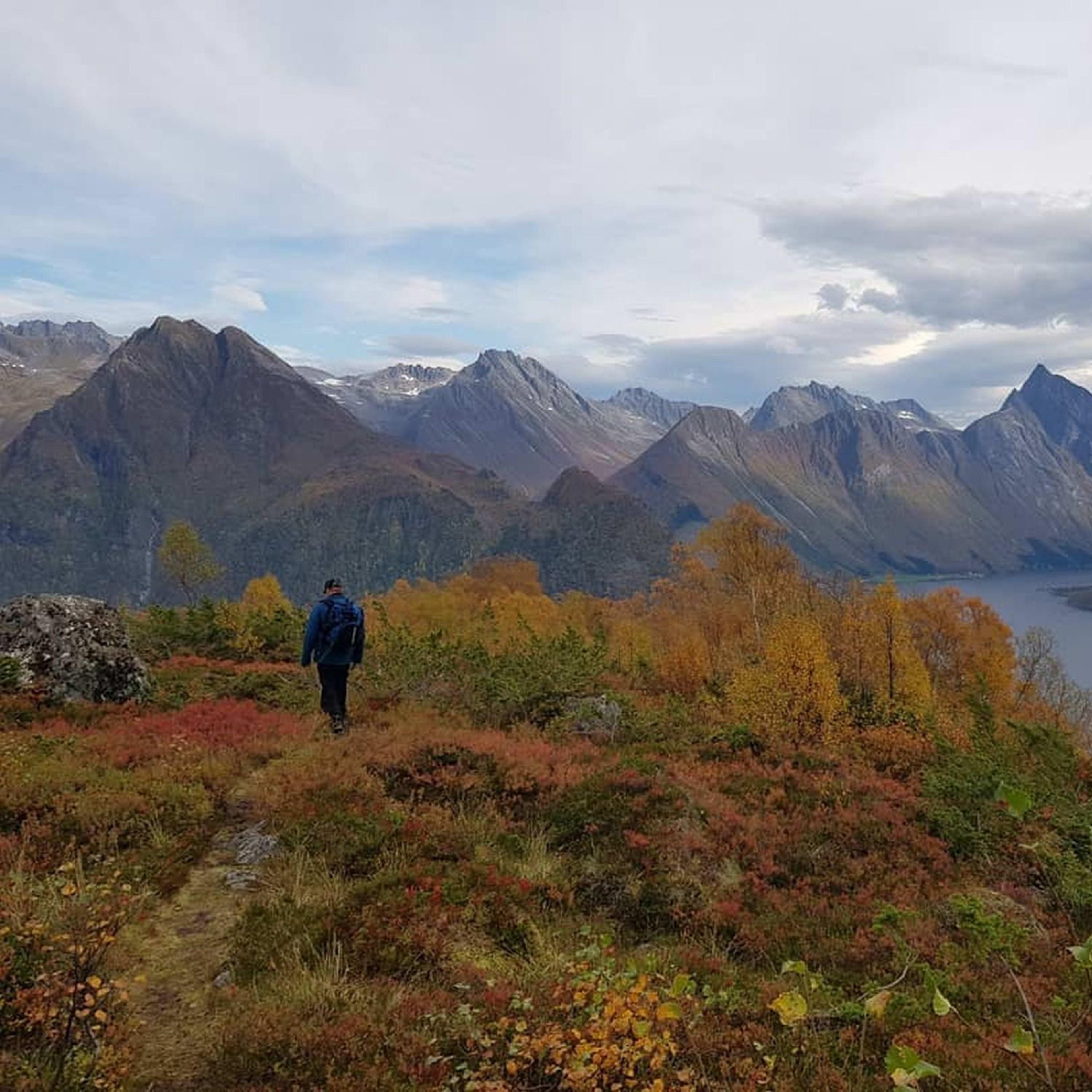 Wanderer, der durch Herbstlaub geht, mit atemberaubender Berglandschaft und Fjord im Hintergrund.