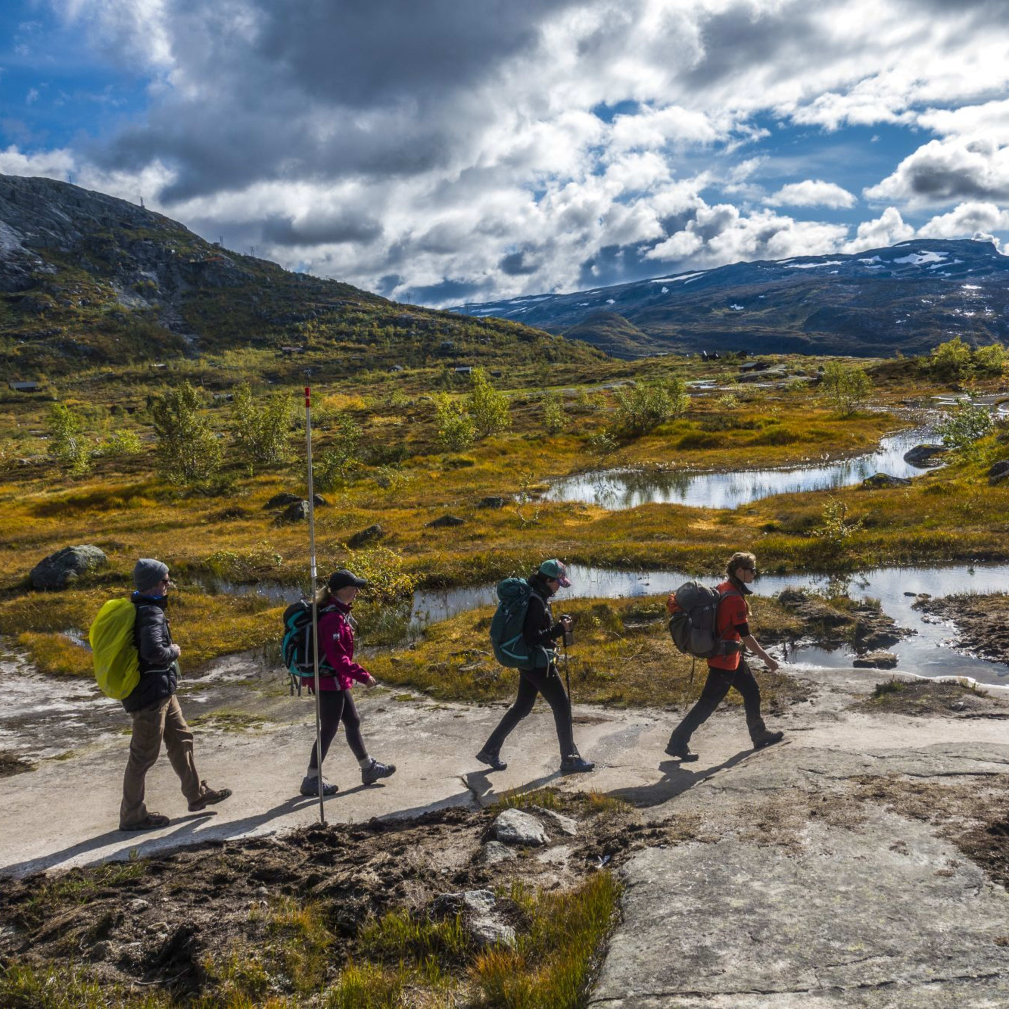 Group of four hikers carrying backpacks and trekking poles walking along rugged path surrounded by wild terrain.