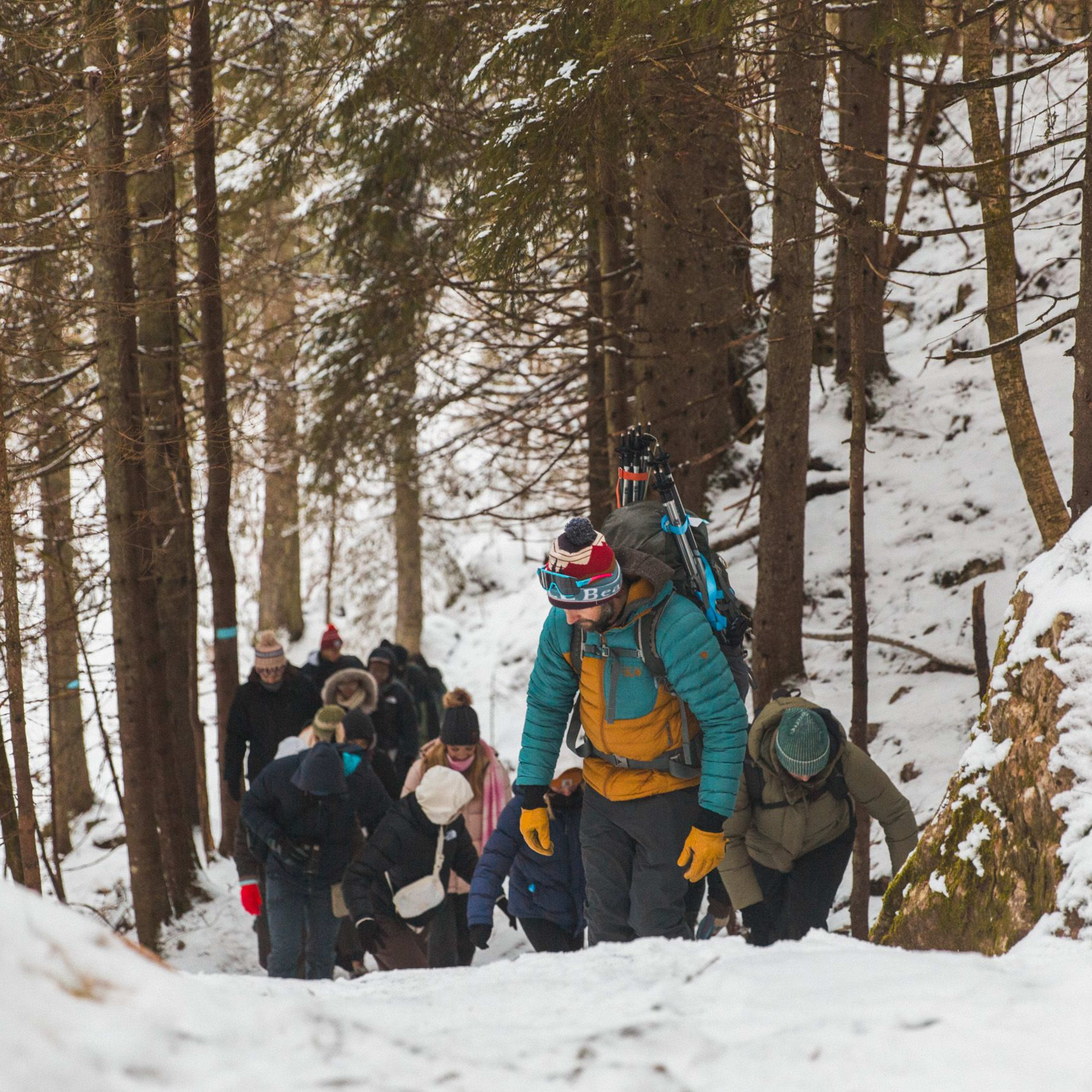 Hikers trekking uphill through snowy forest, leader with backpack and poles on adventurous path.