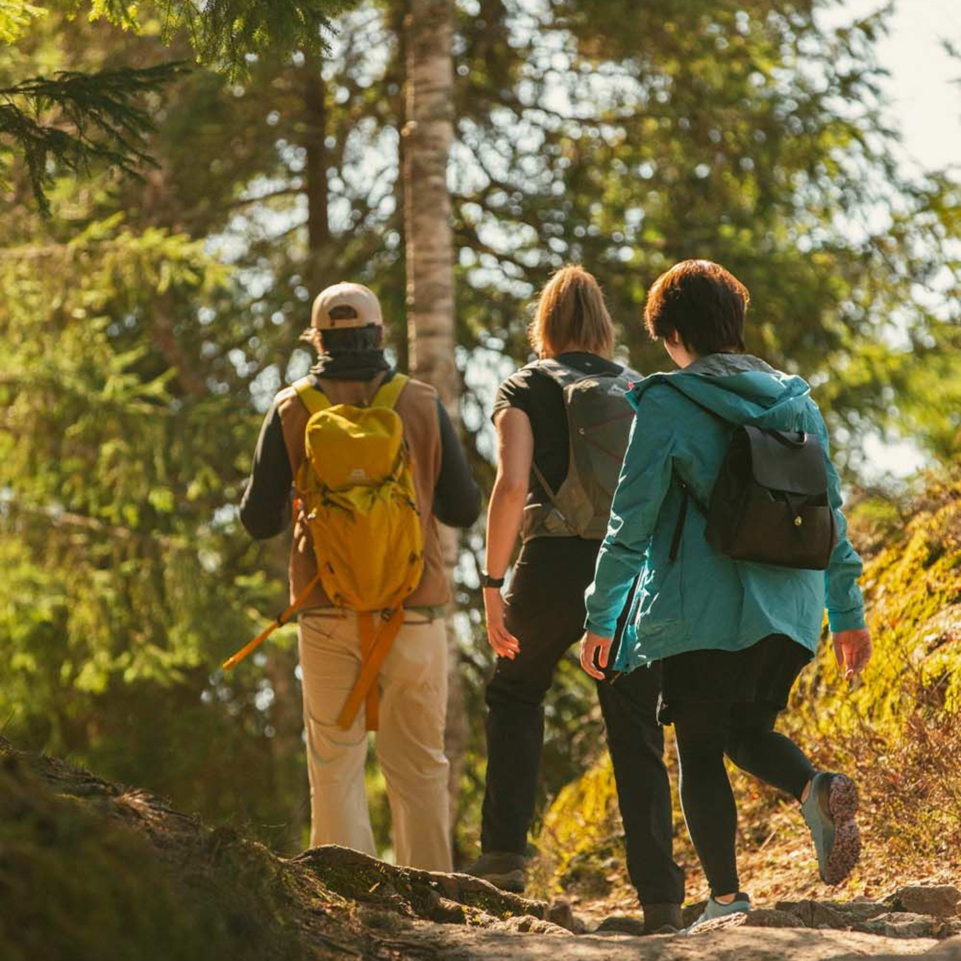 Three hikers with backpacks walking rocky trail in sunny forest, sunlight casting shadows.
