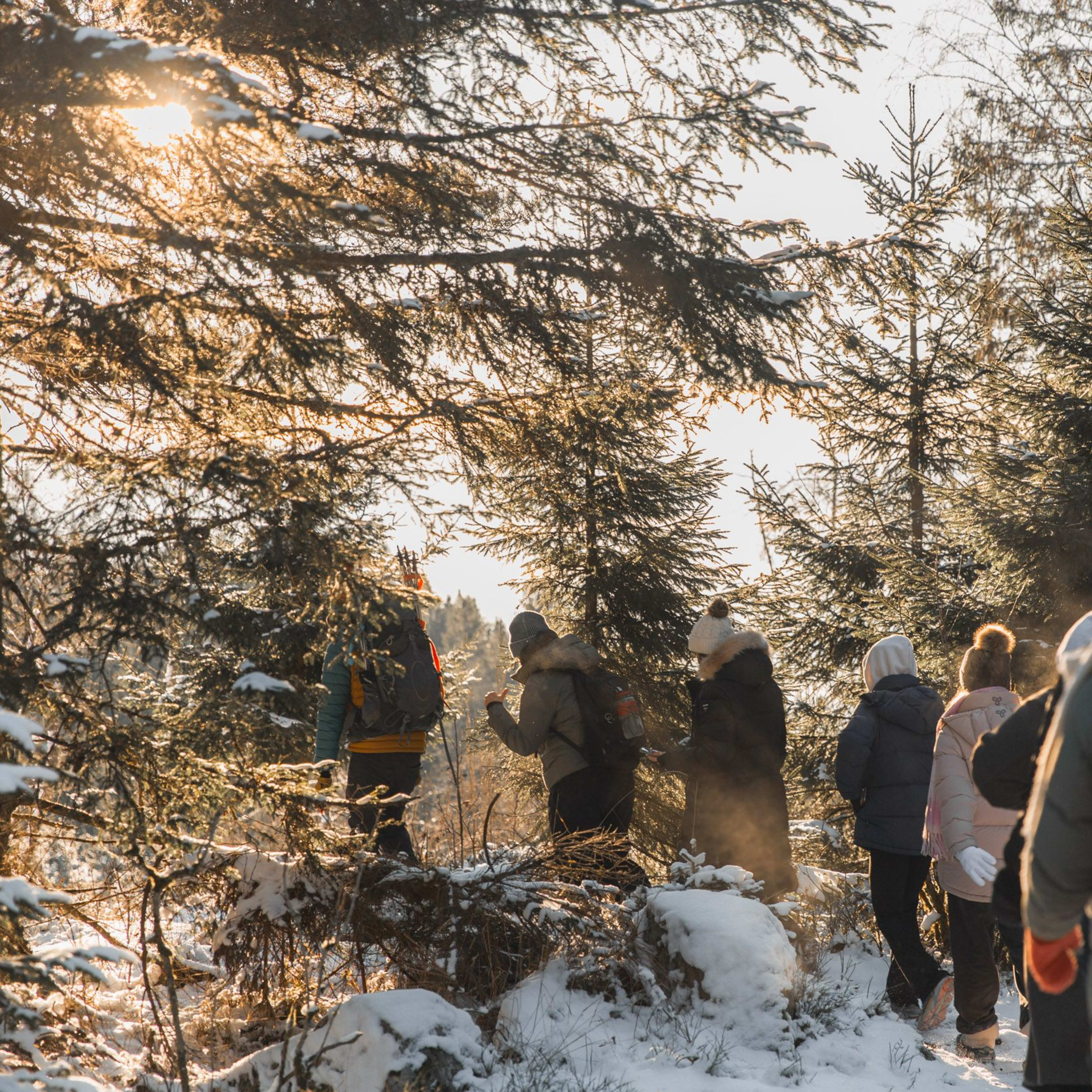Group hiking through snowy forest during golden hour, warm sunlight glowing through trees.