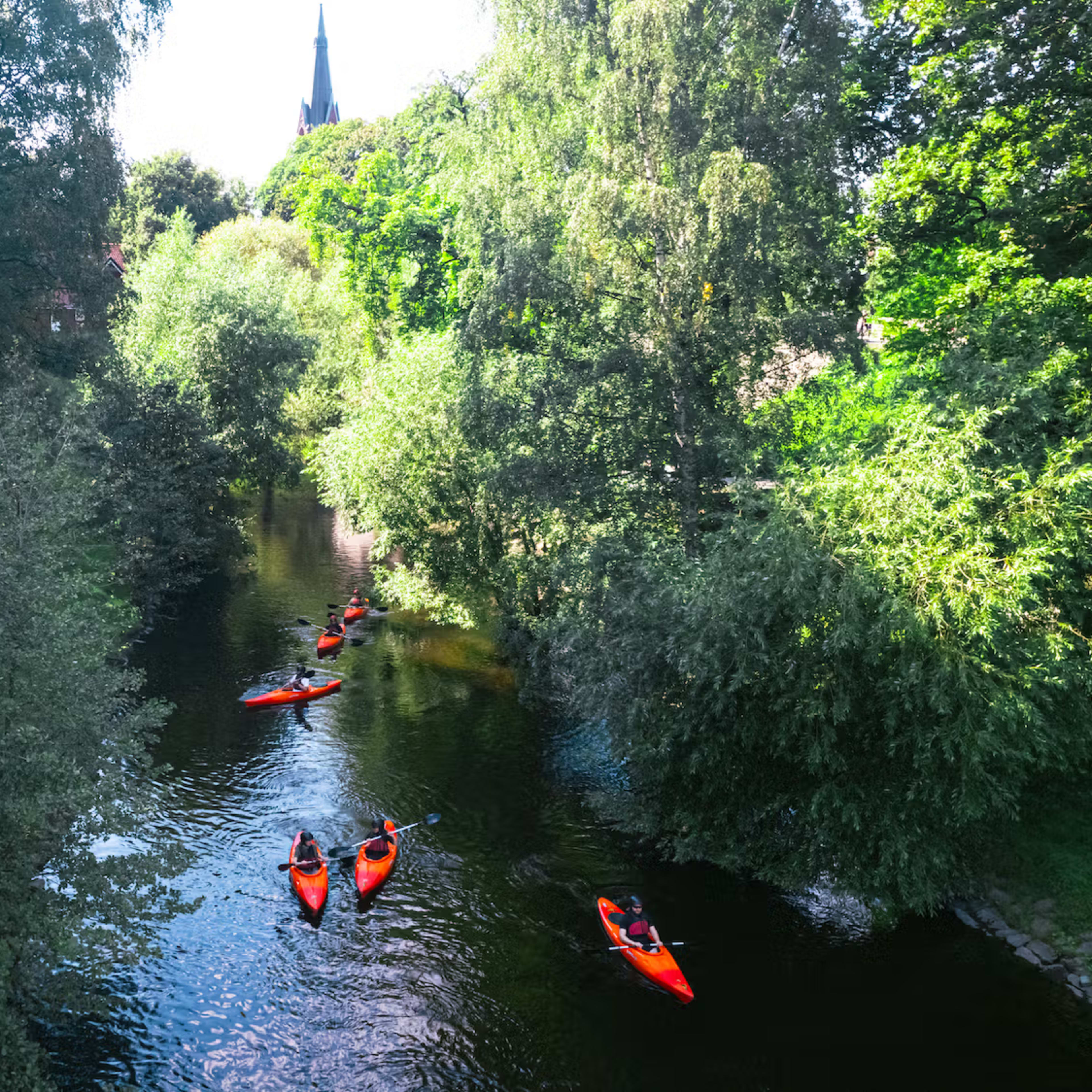 Kajakfahren durch üppigen Wald-Wasserweg