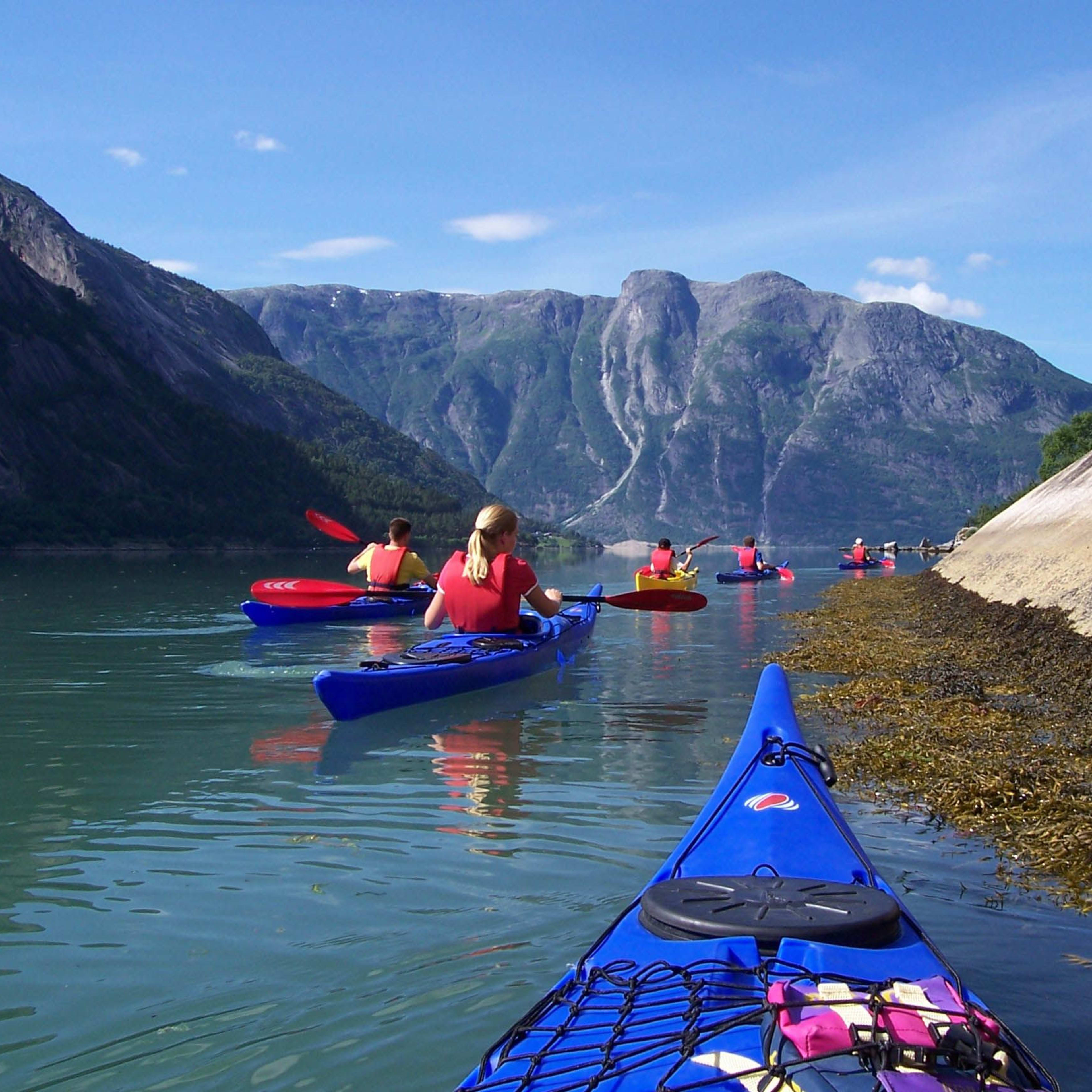 Group of kayakers paddling blue and red kayaks along a calm, clear fjord with seaweed-covered rocky shore and green mountains.