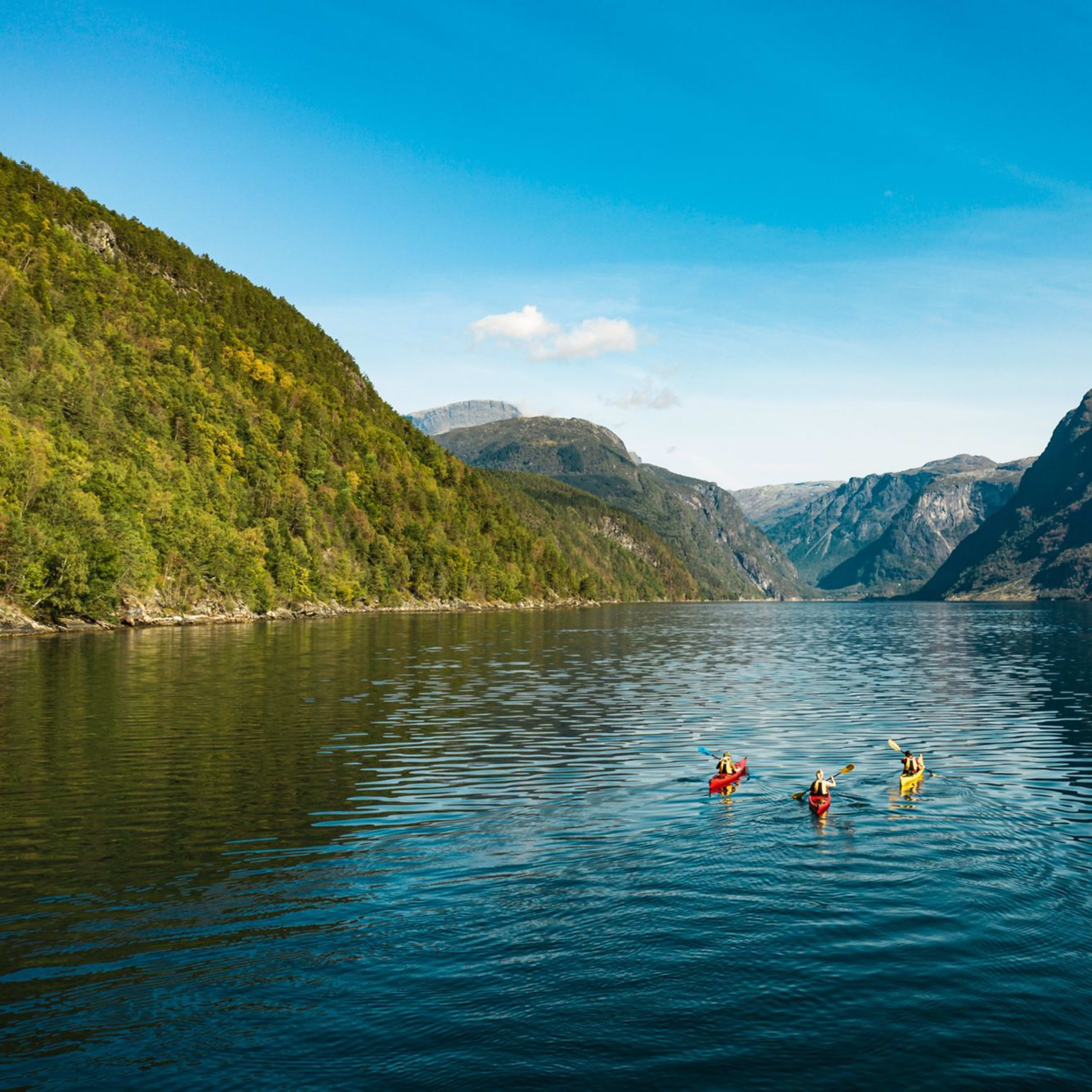 Personen paddeln auf ruhigem Wasser in einem Fjord, umgeben von bewaldeten Bergen, und paddeln in Richtung Horizont mit bunten Kajaks.