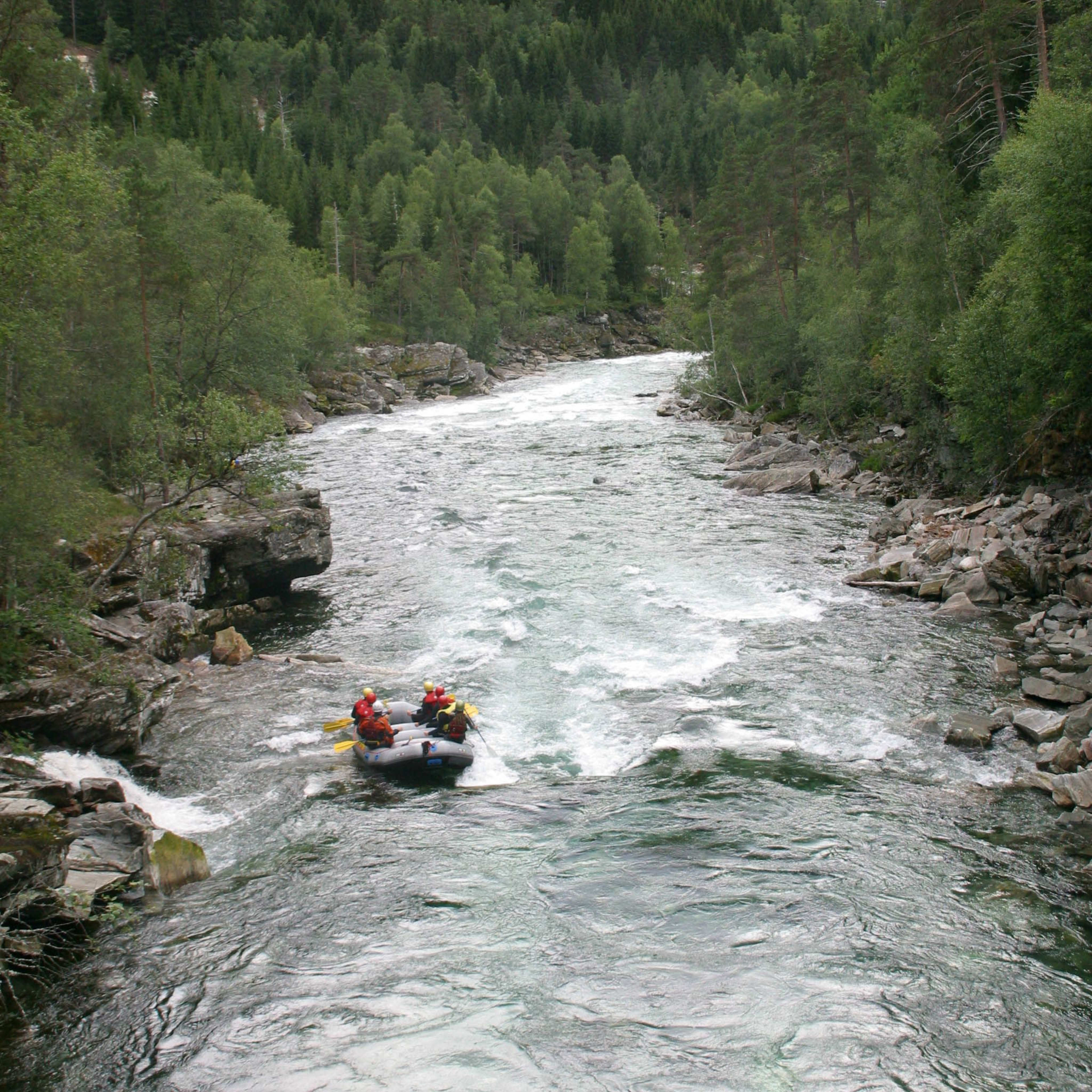 Eine Rafting-Gruppe navigiert sanfte Stromschnellen mit einem malerischen Blick auf grüne Berge und ruhiges Wasser.