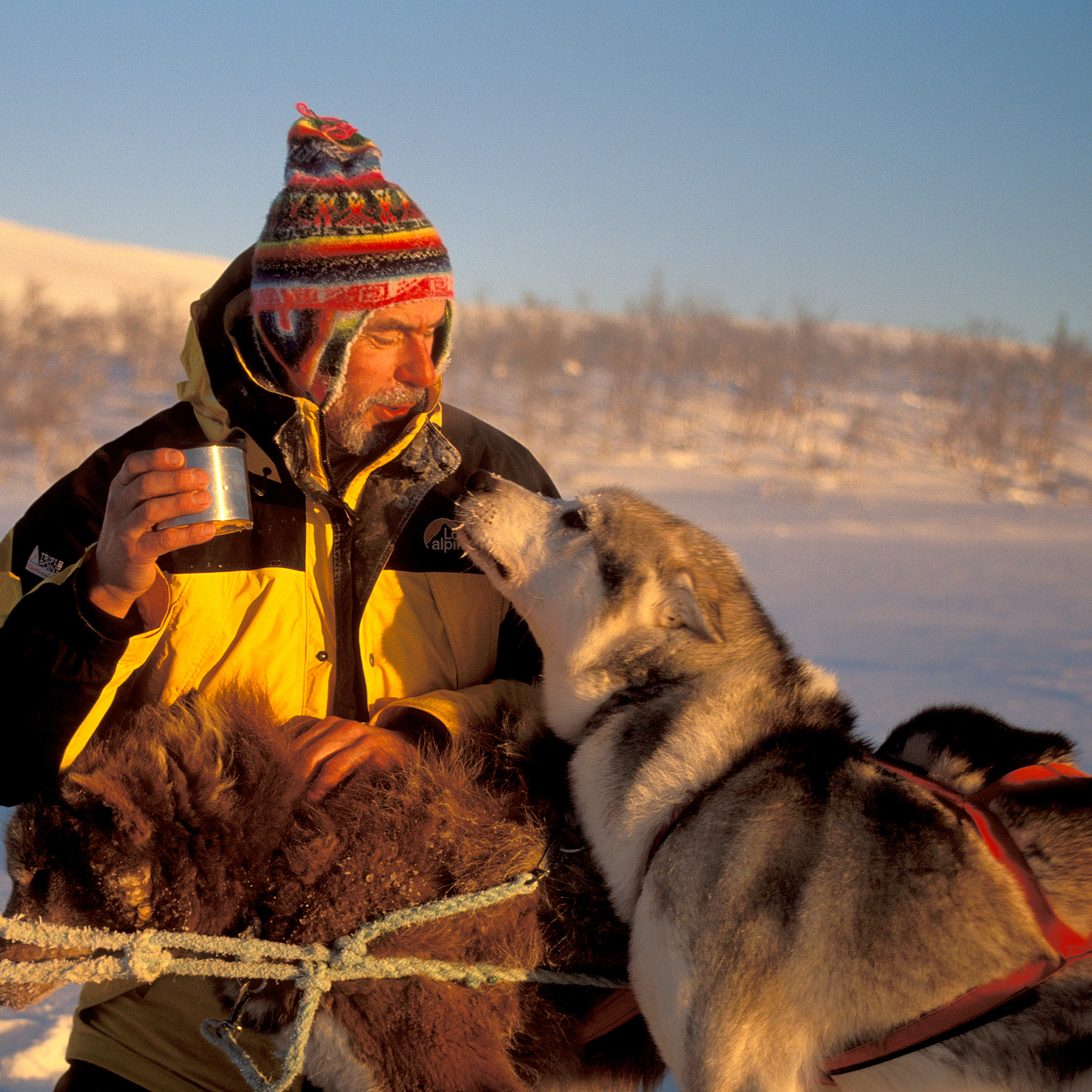 Musher mit Husky-Hundeteam während goldener Stunde am arktischen Fjord mit nebligen Bergen, Norwegen