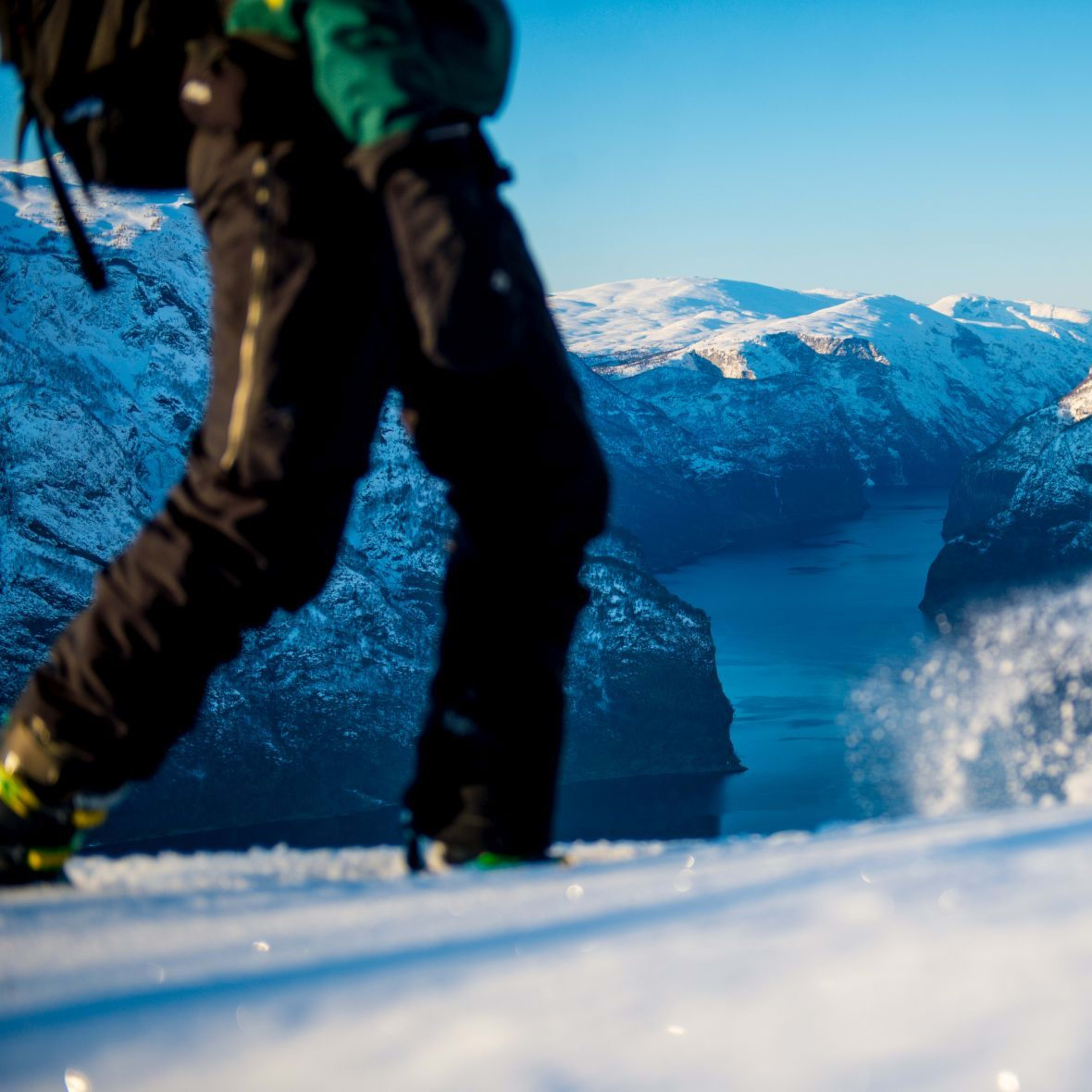 Nærbilde av trugegåere med snøsprut og fjord bak.