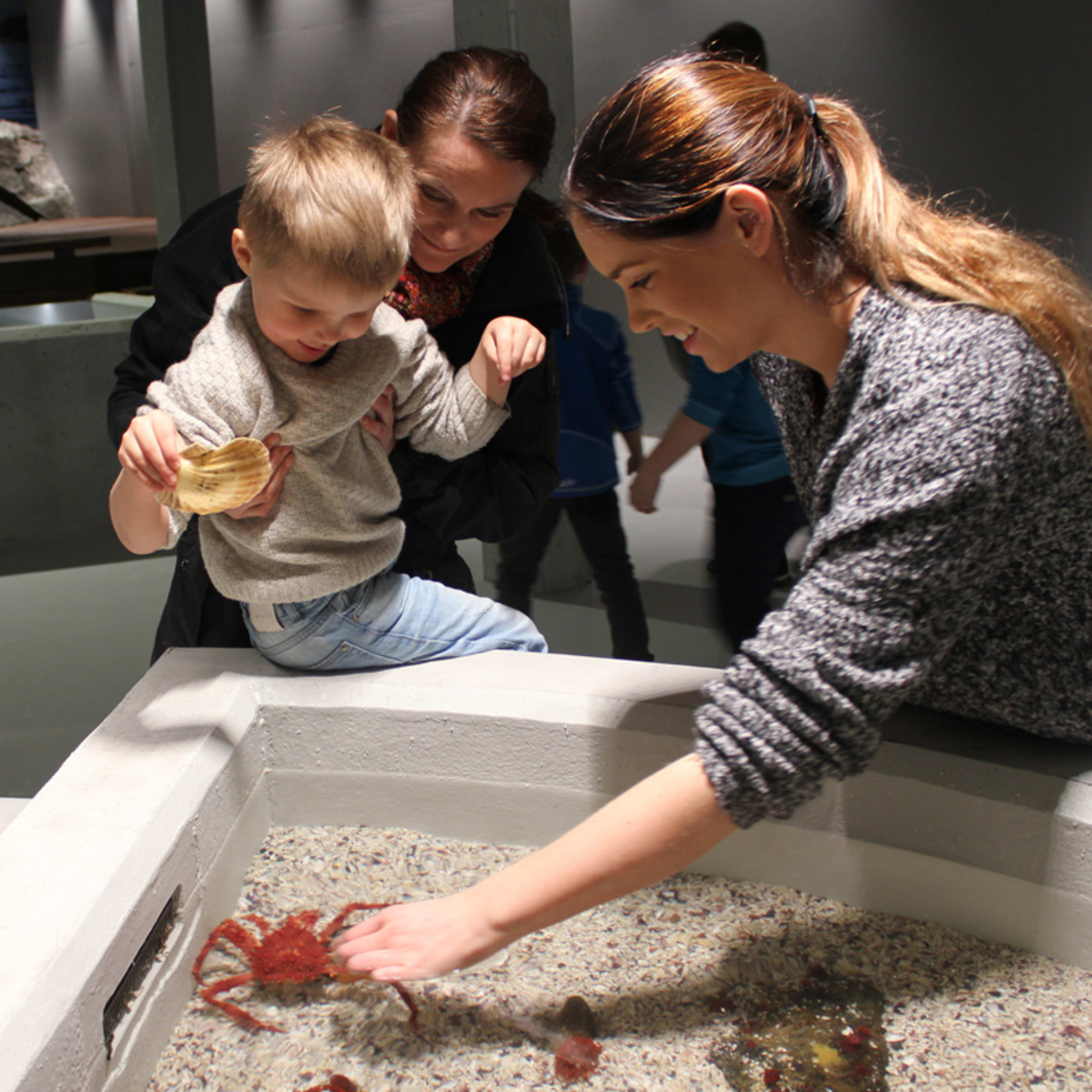 Families with children exploring interactive marine exhibits and touch pools at Atlanterhavsparken