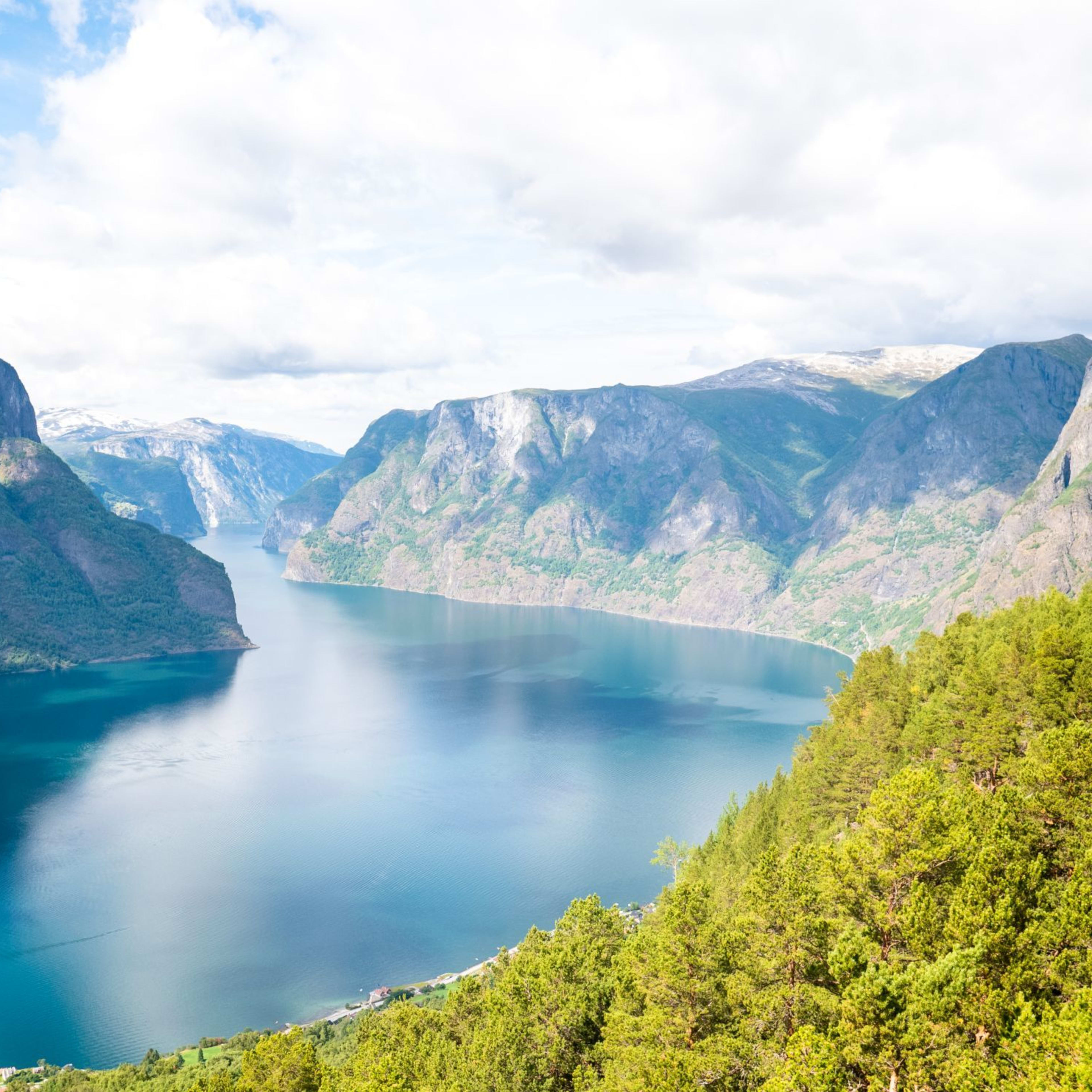 Panorama av blå fjord mellom skogkledde fjell med snø på toppene under skyet himmel.