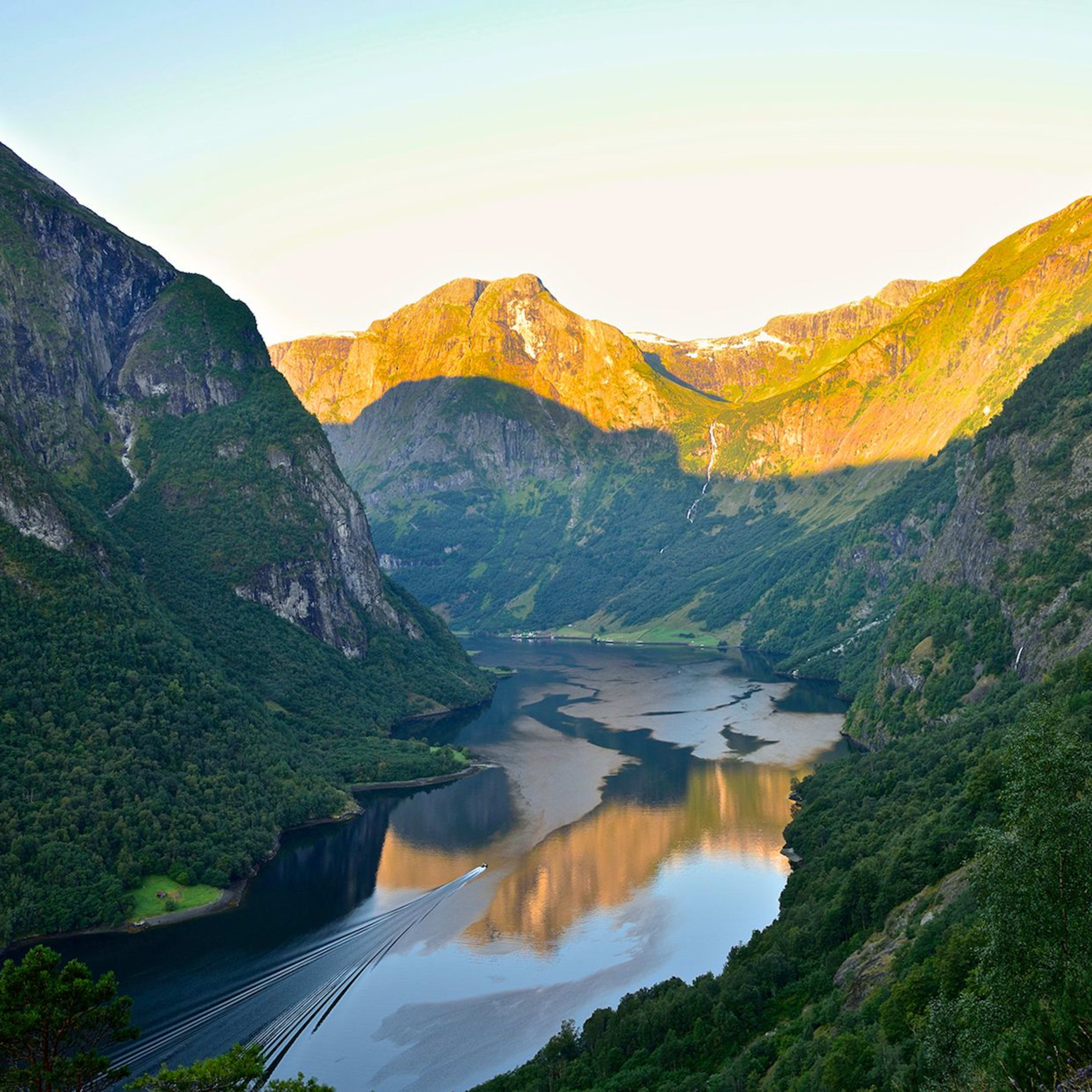 Boot zieht Wellen in sonnenbeleuchtetem Nærøyfjord unter steilen Wäldern.