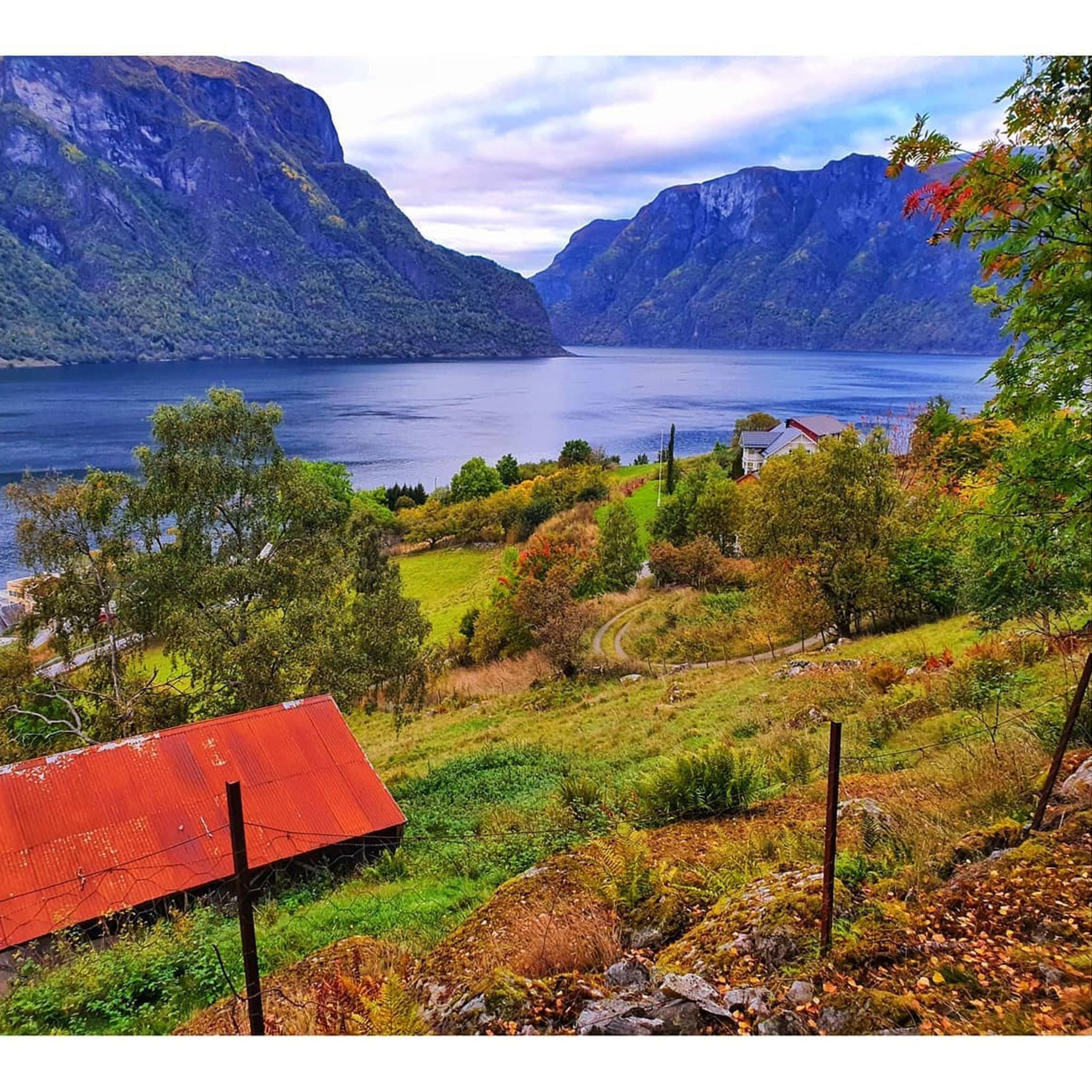 Autumn fjord view with shed and houses on hillside.