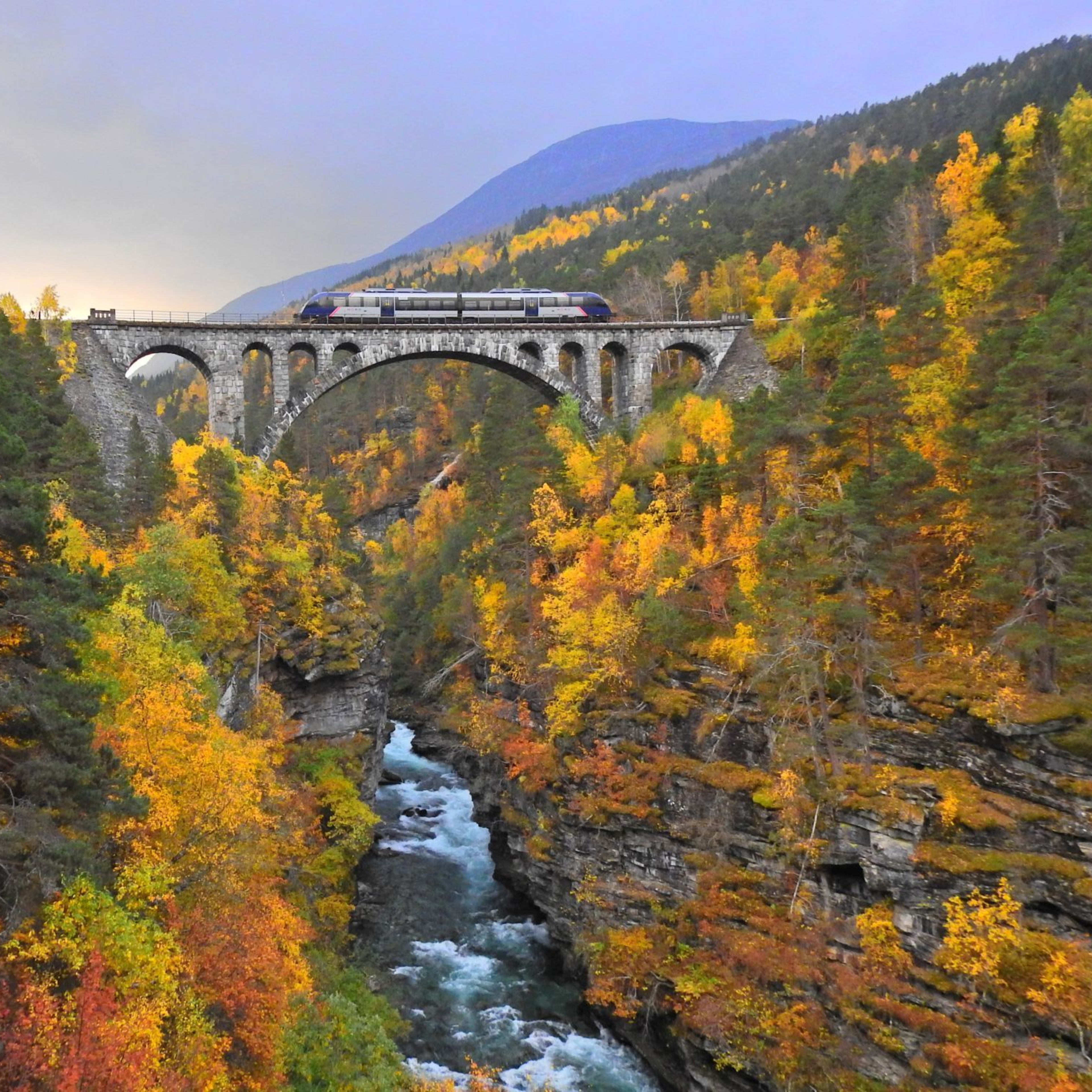 Train on stone arch bridge over rocky gorge, forest in autumn colors and mountains behind.